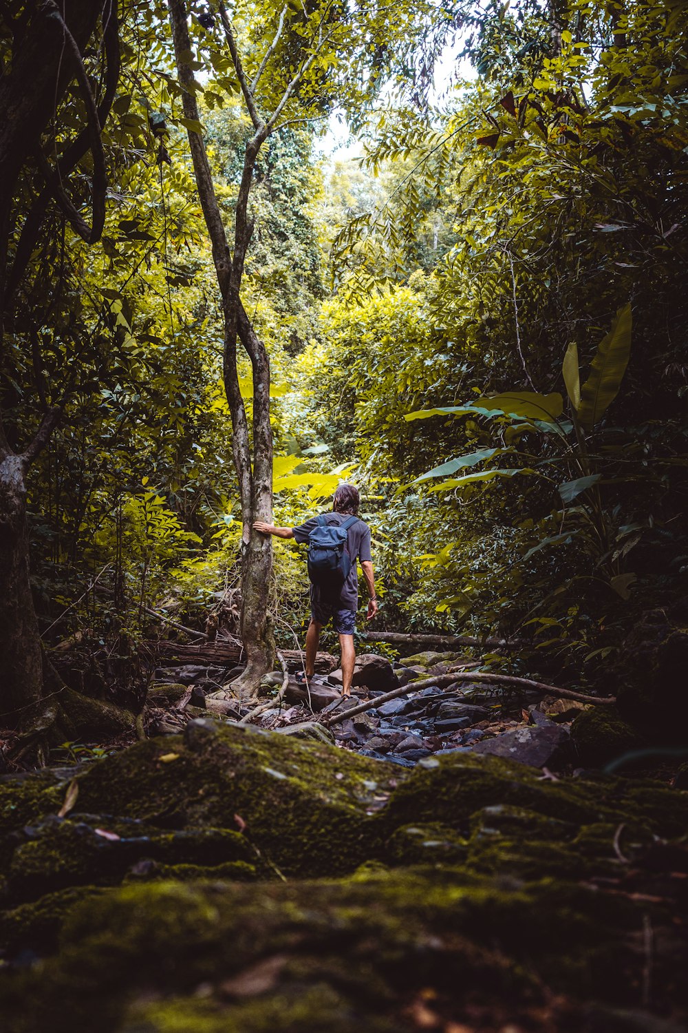 man in blue t-shirt walking on forest during daytime