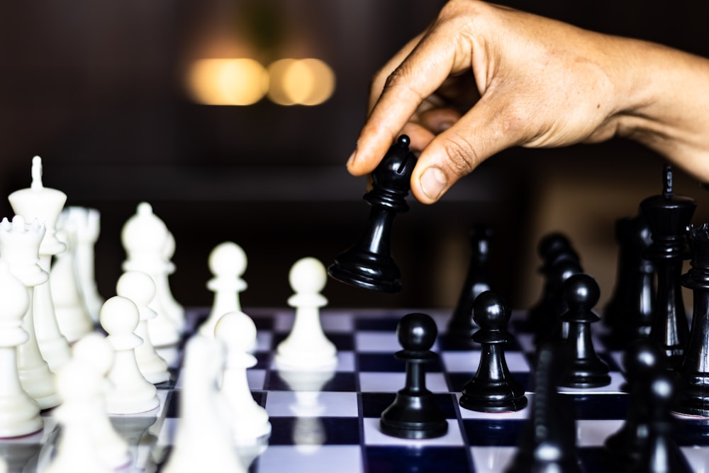 person holding chess piece in chess piece