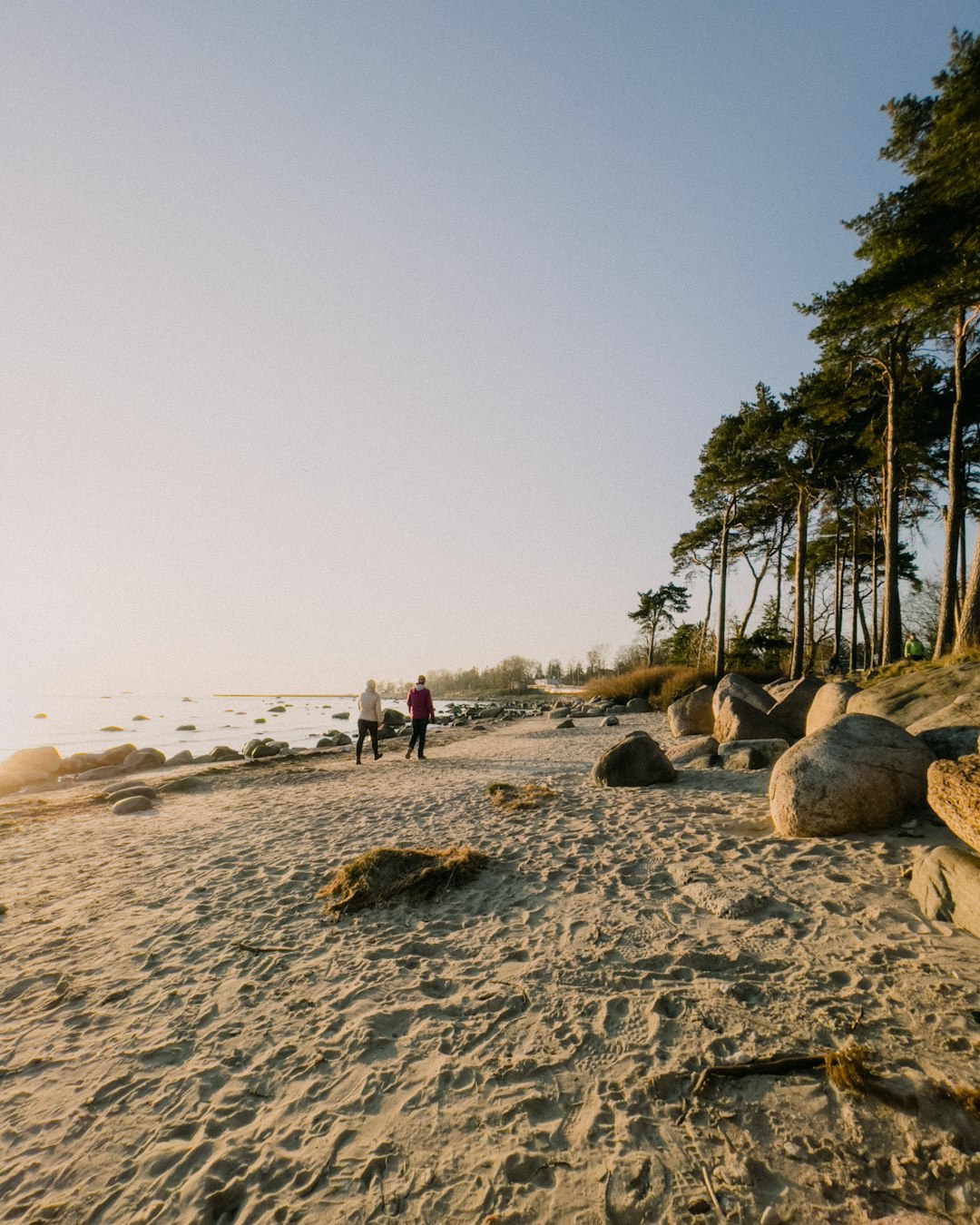 people walking on beach during daytime