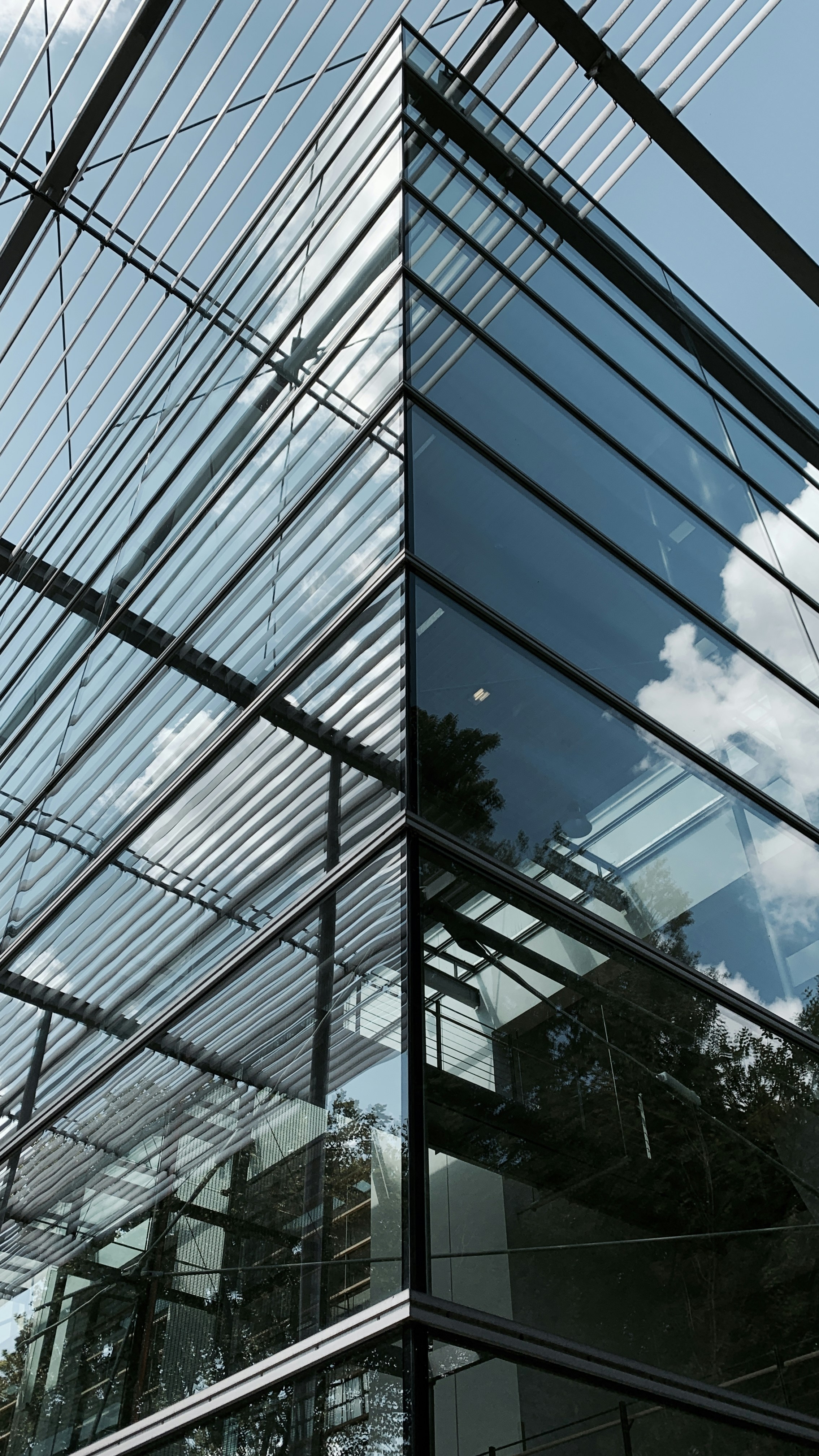 Photo by david_underland