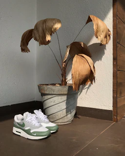 Casual sneakers resting on a concrete step beside a potted plant.