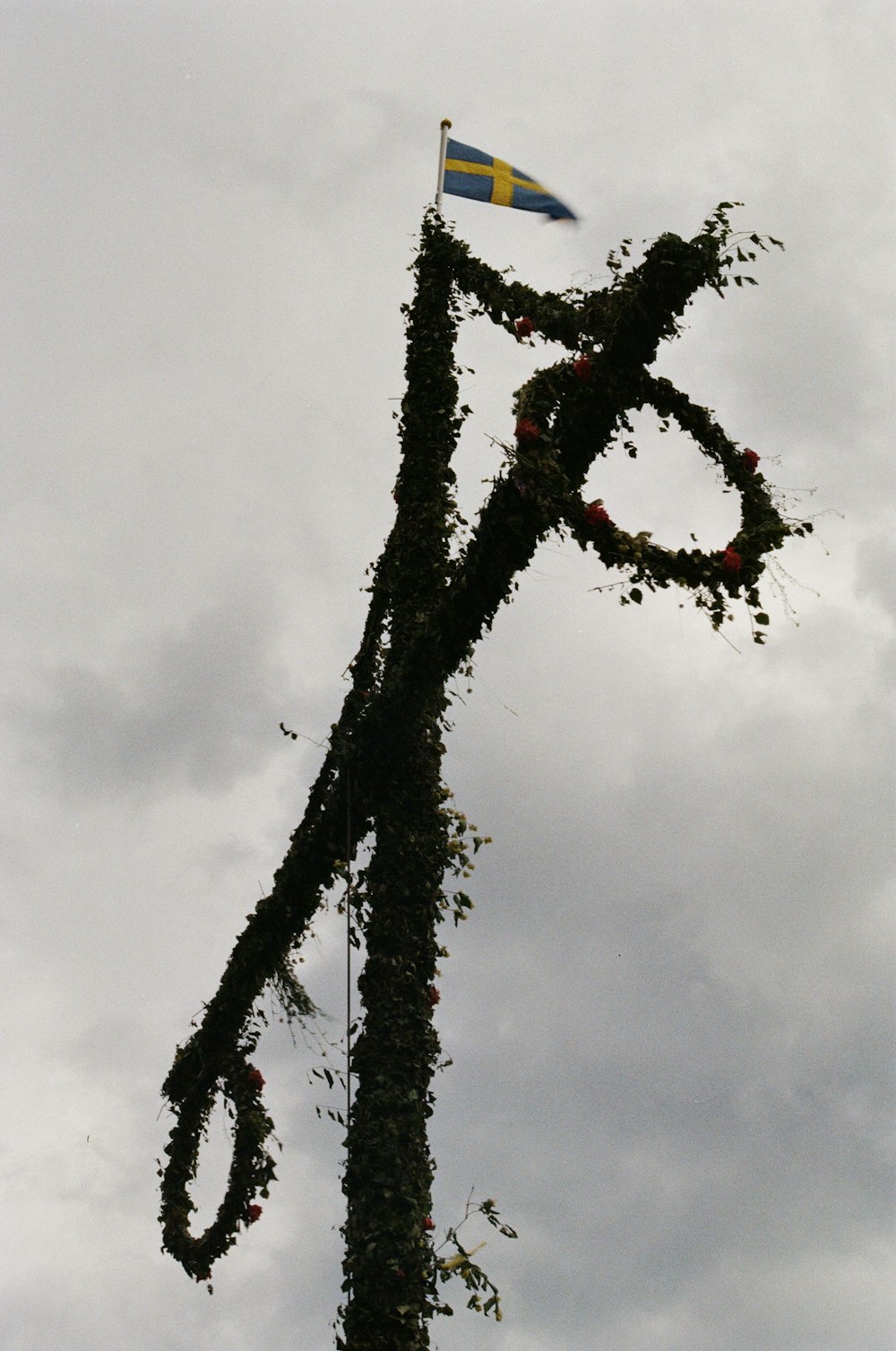 Photographie en contre-plongée d’un arbre noir et rouge sous des nuages blancs