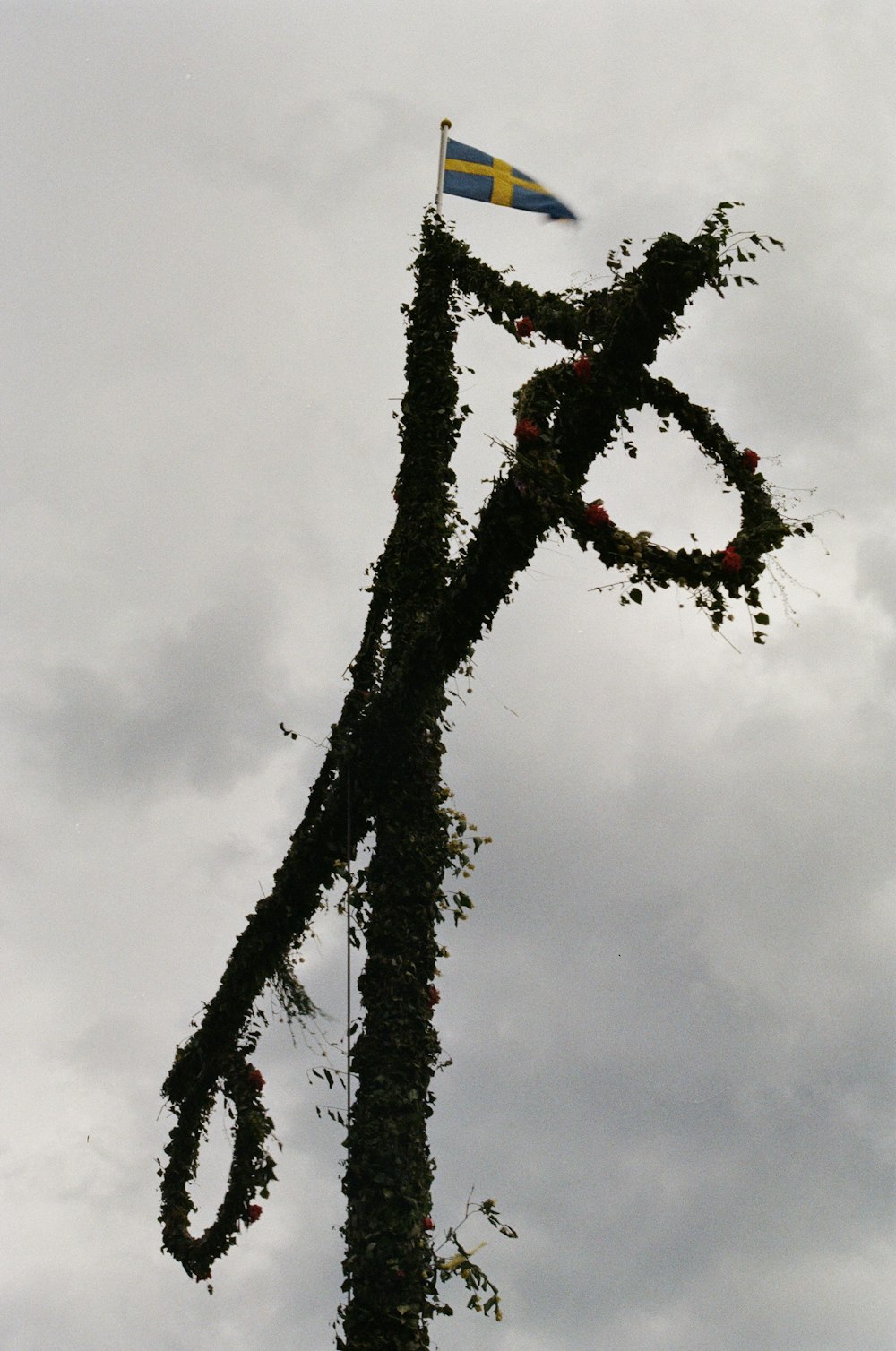 low angle photography of black and red tree under white clouds