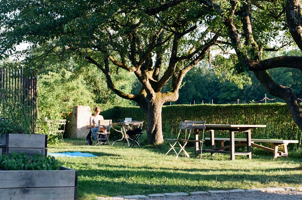 green grass field with trees and bench