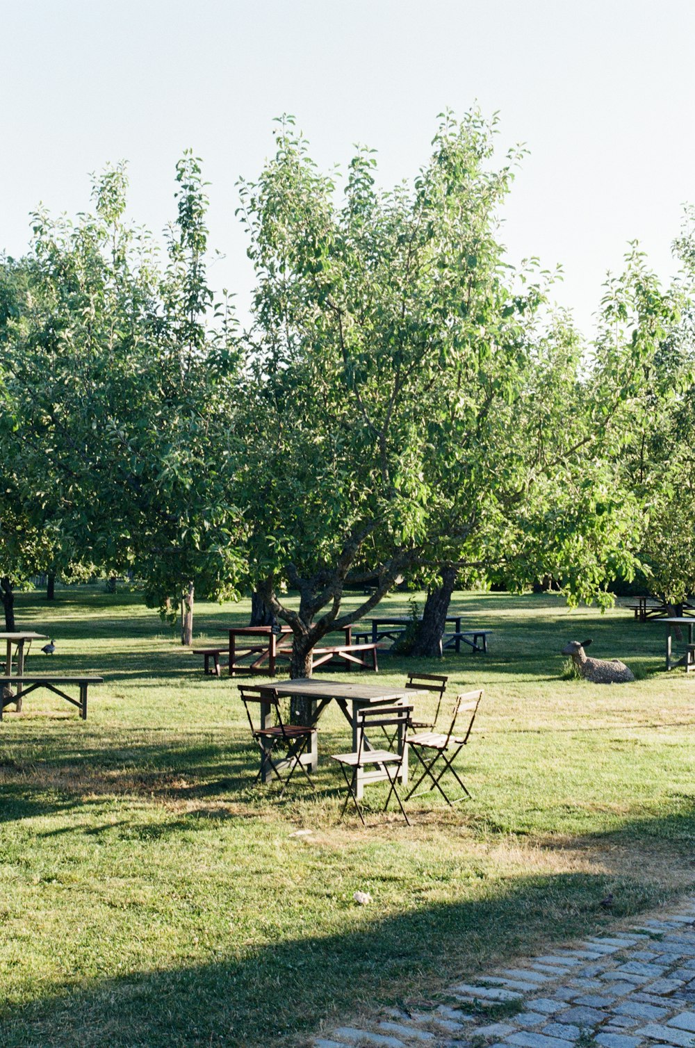 Mesa de picnic de madera marrón en campo de hierba verde durante el día