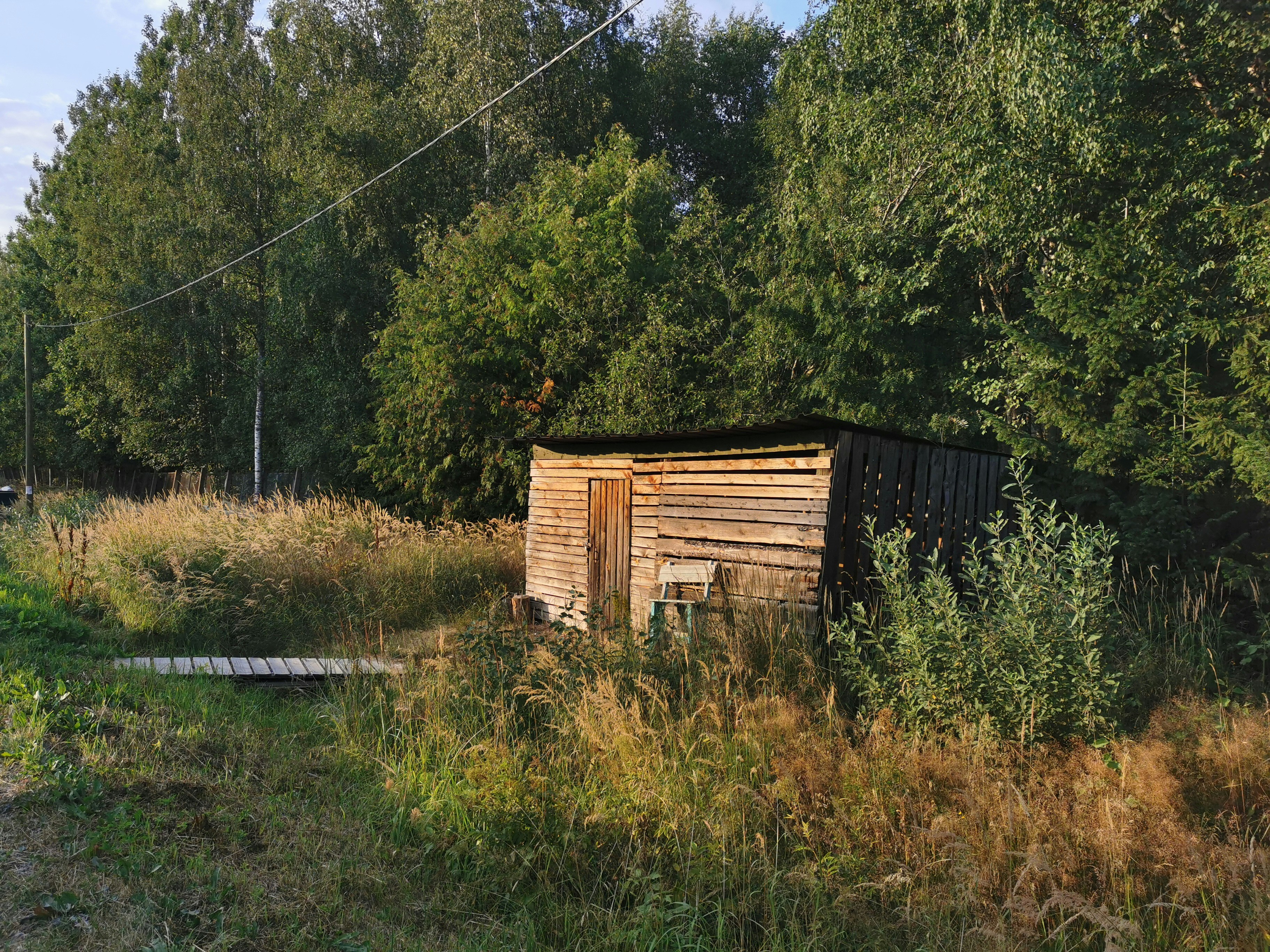 brown wooden house in the middle of green trees