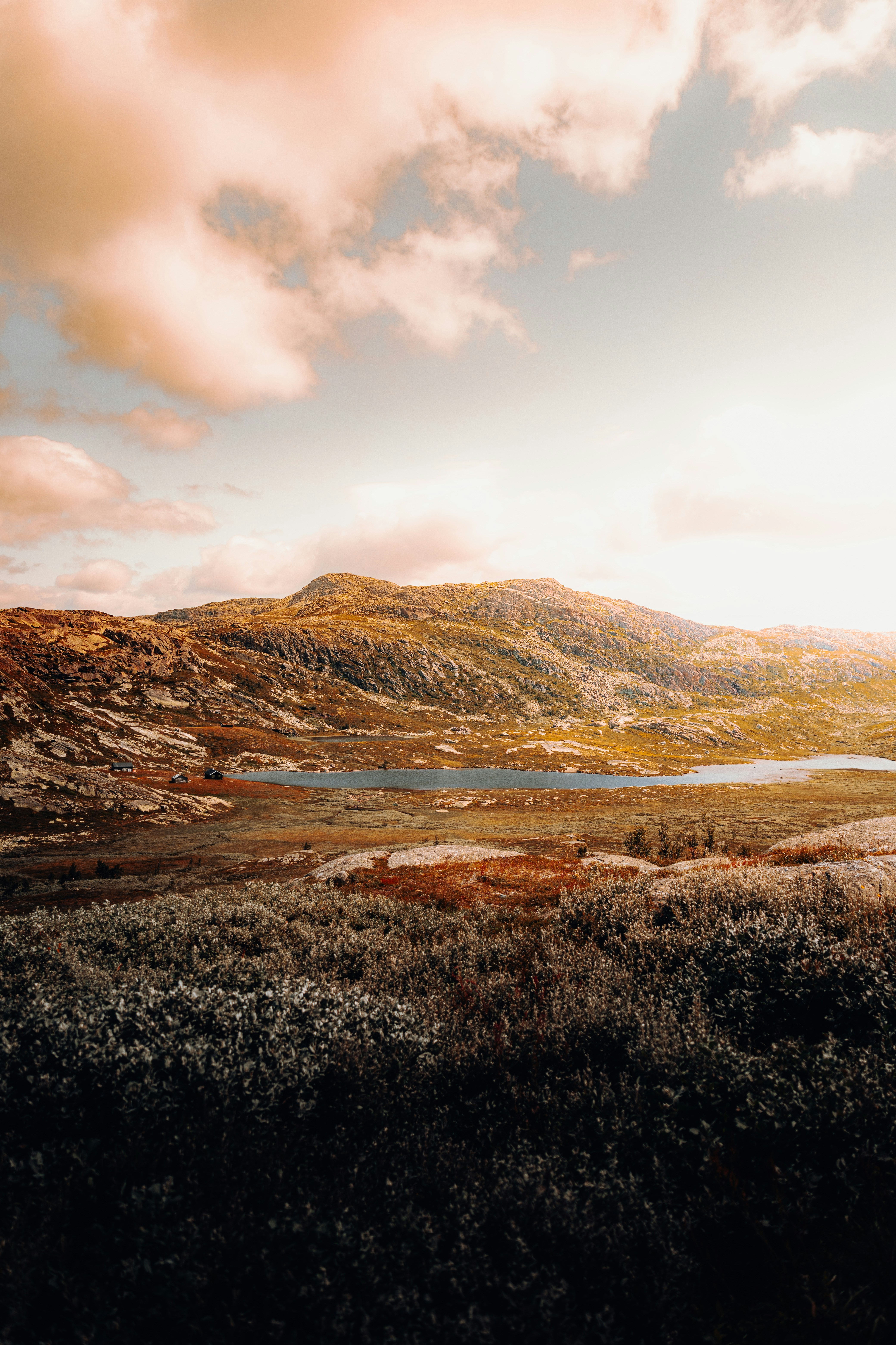 Photo by danieljschwarz