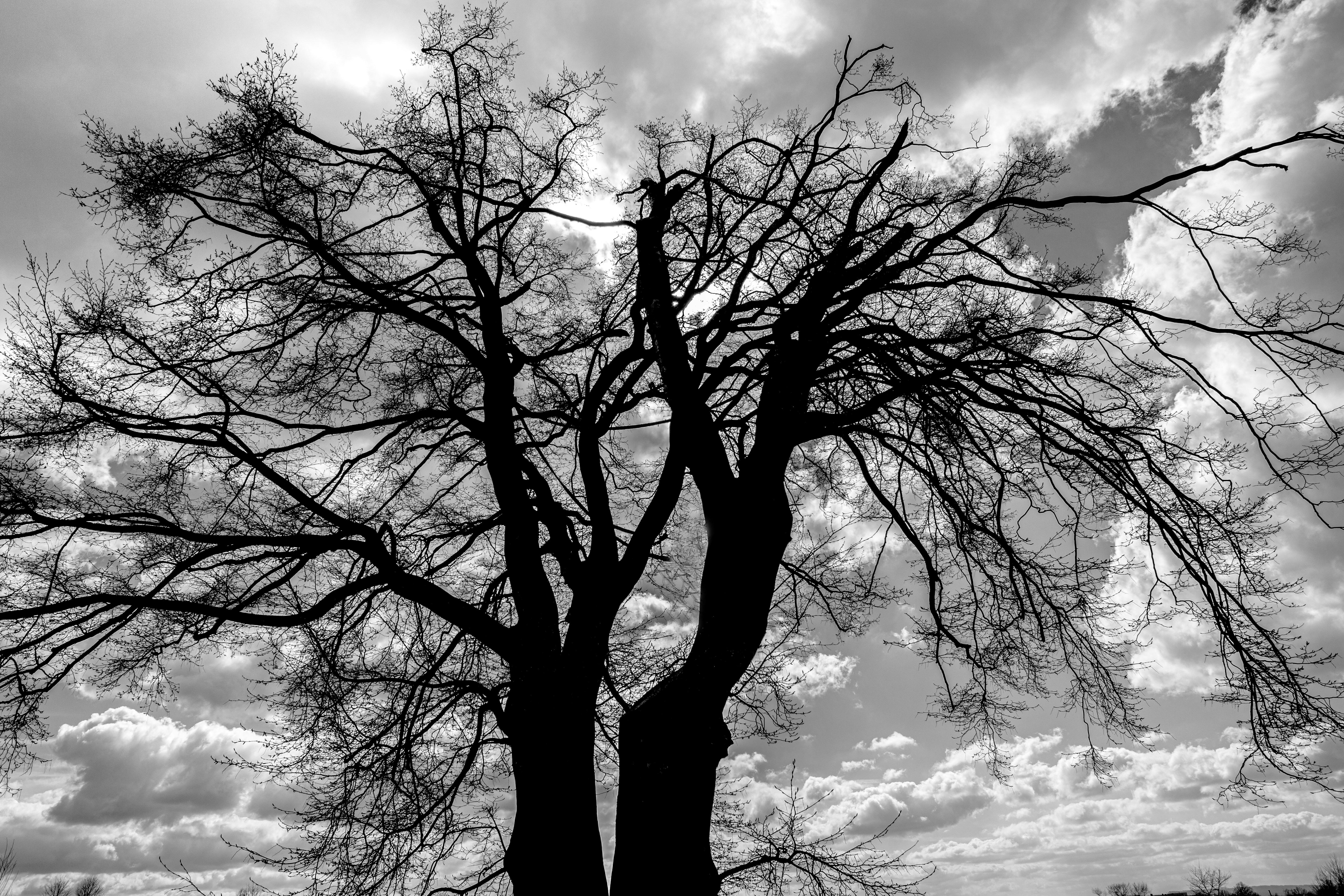 Photo by wilhelmgunkel