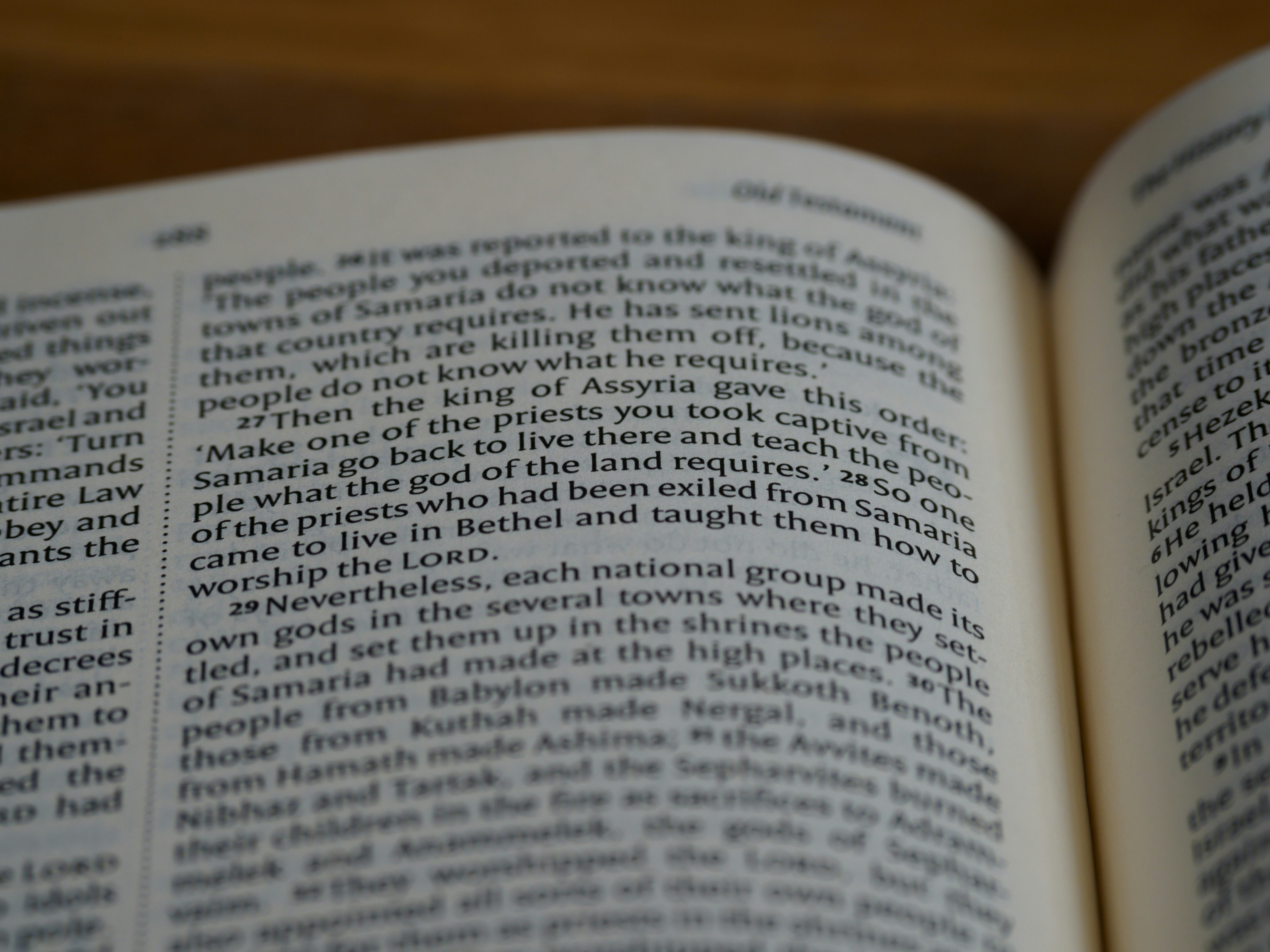 Photo by brett_jordan