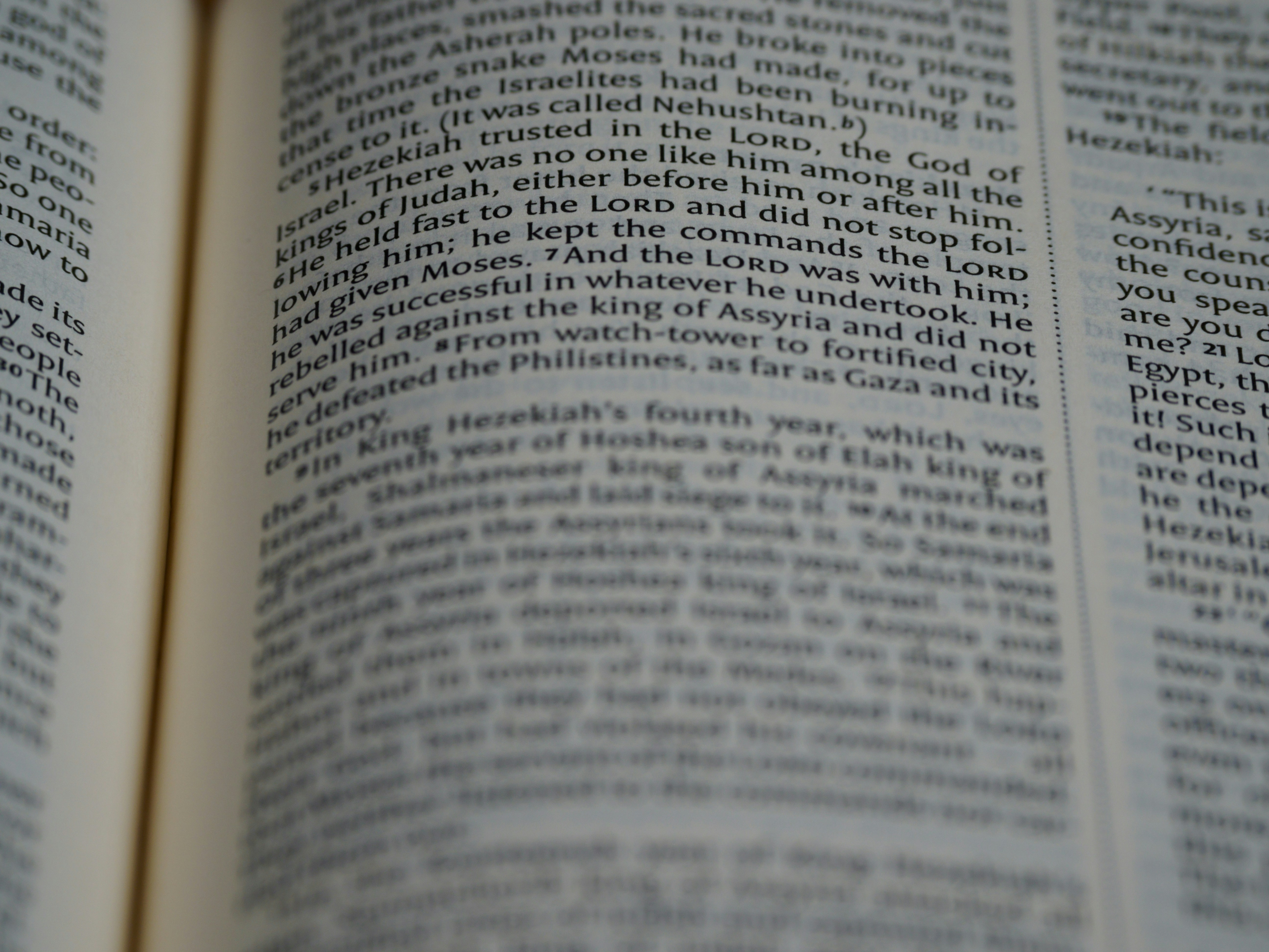 Photo by brett_jordan