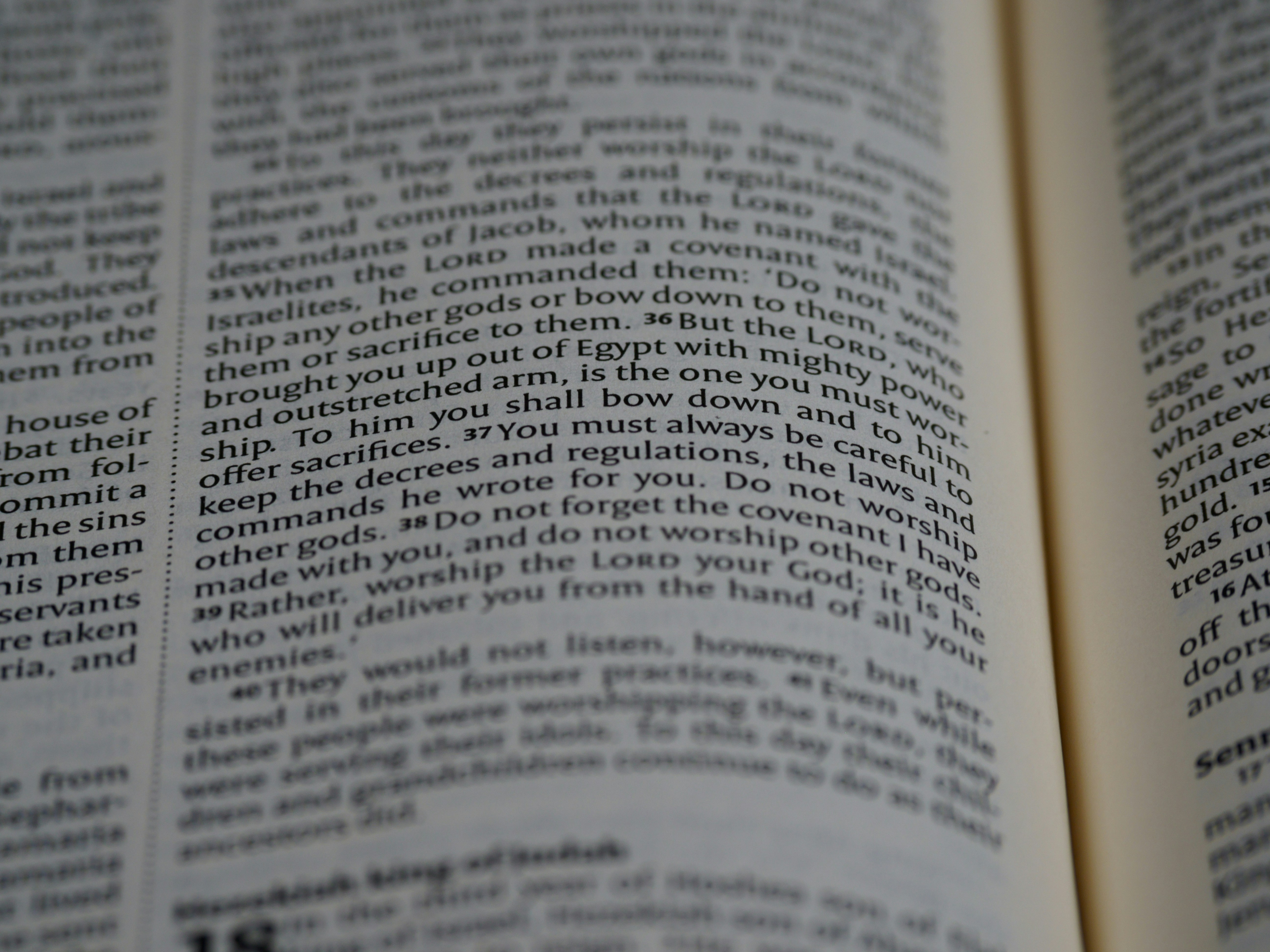 Photo by brett_jordan