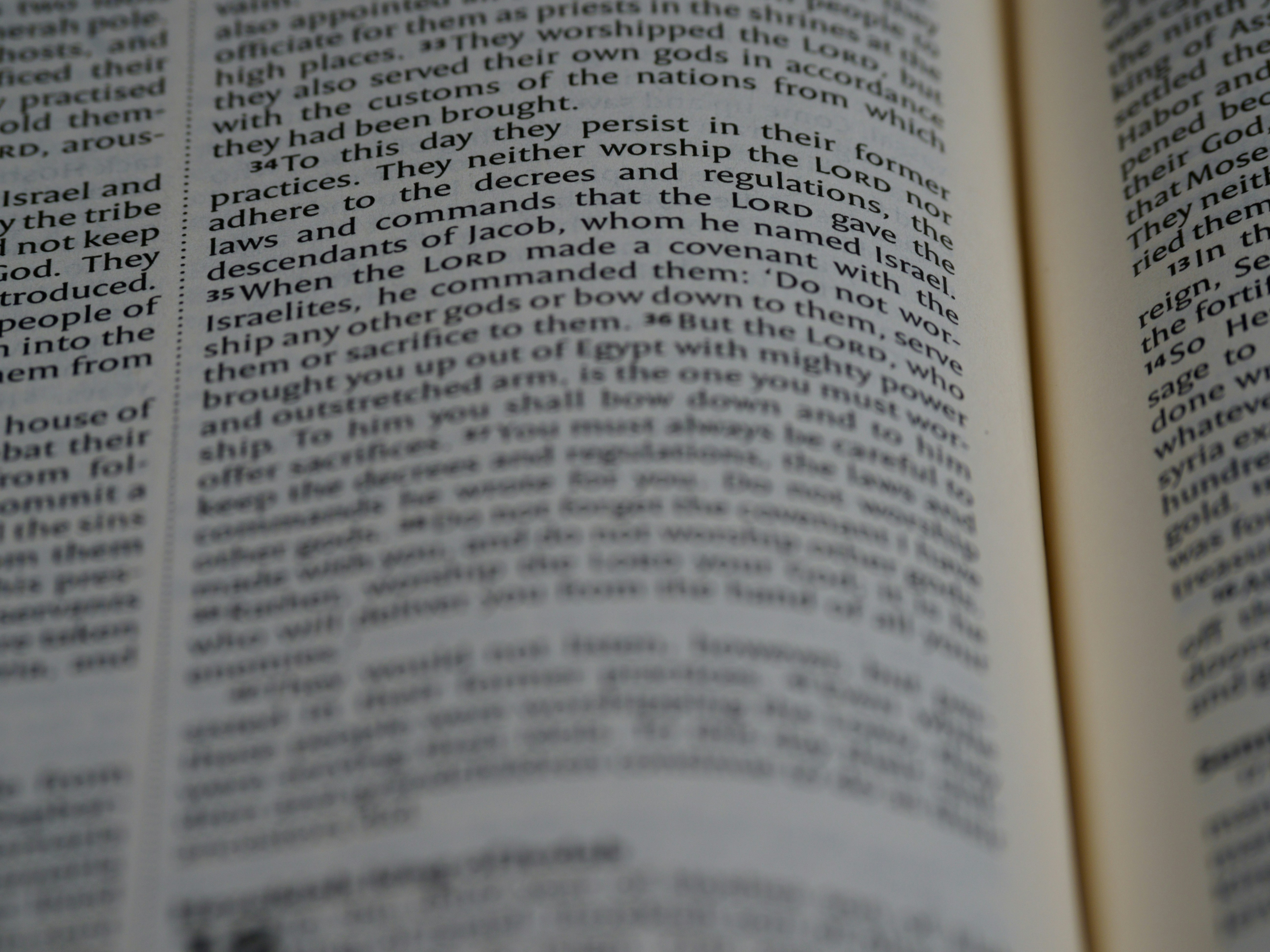 Photo by brett_jordan