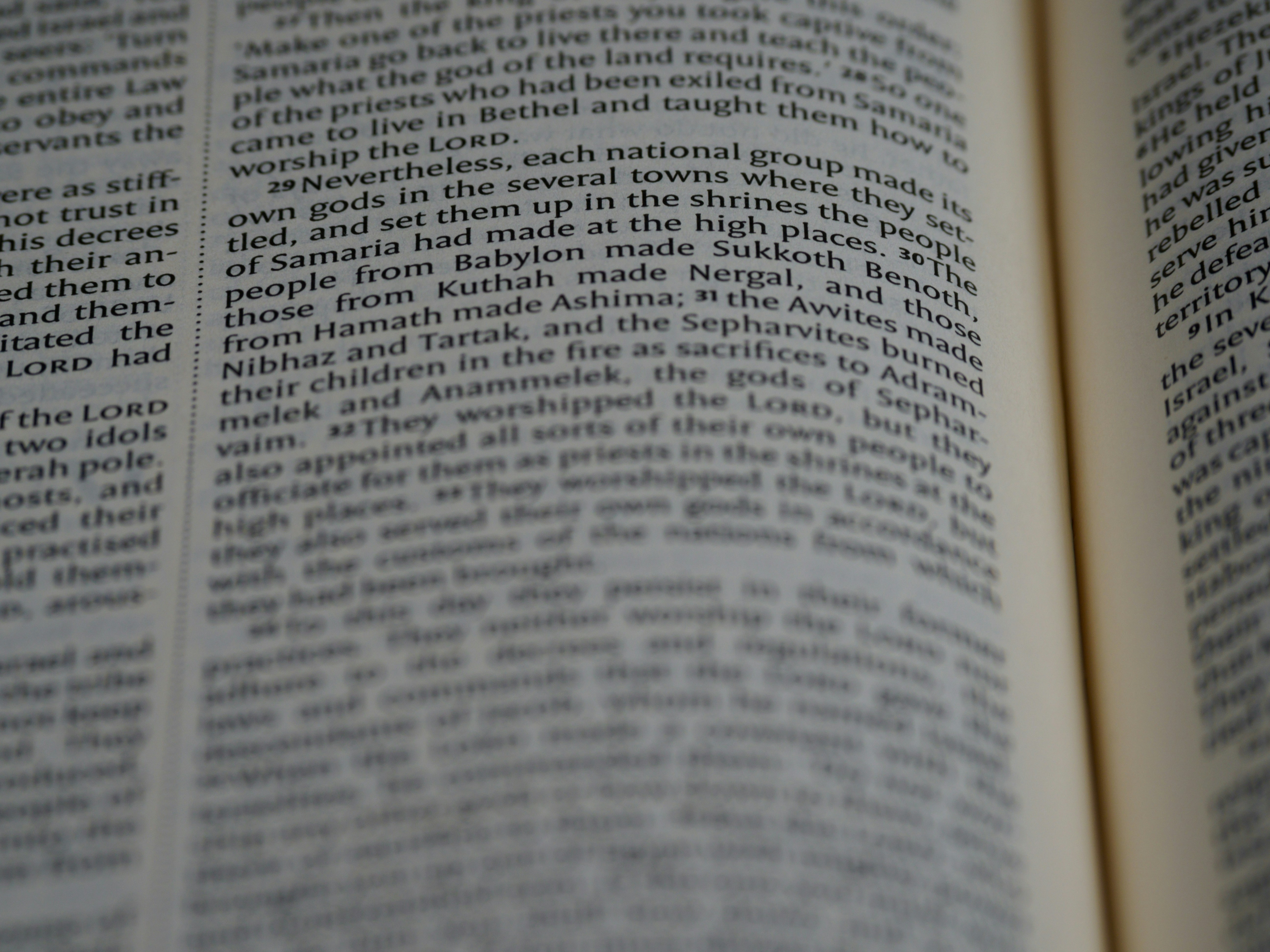 Photo by brett_jordan