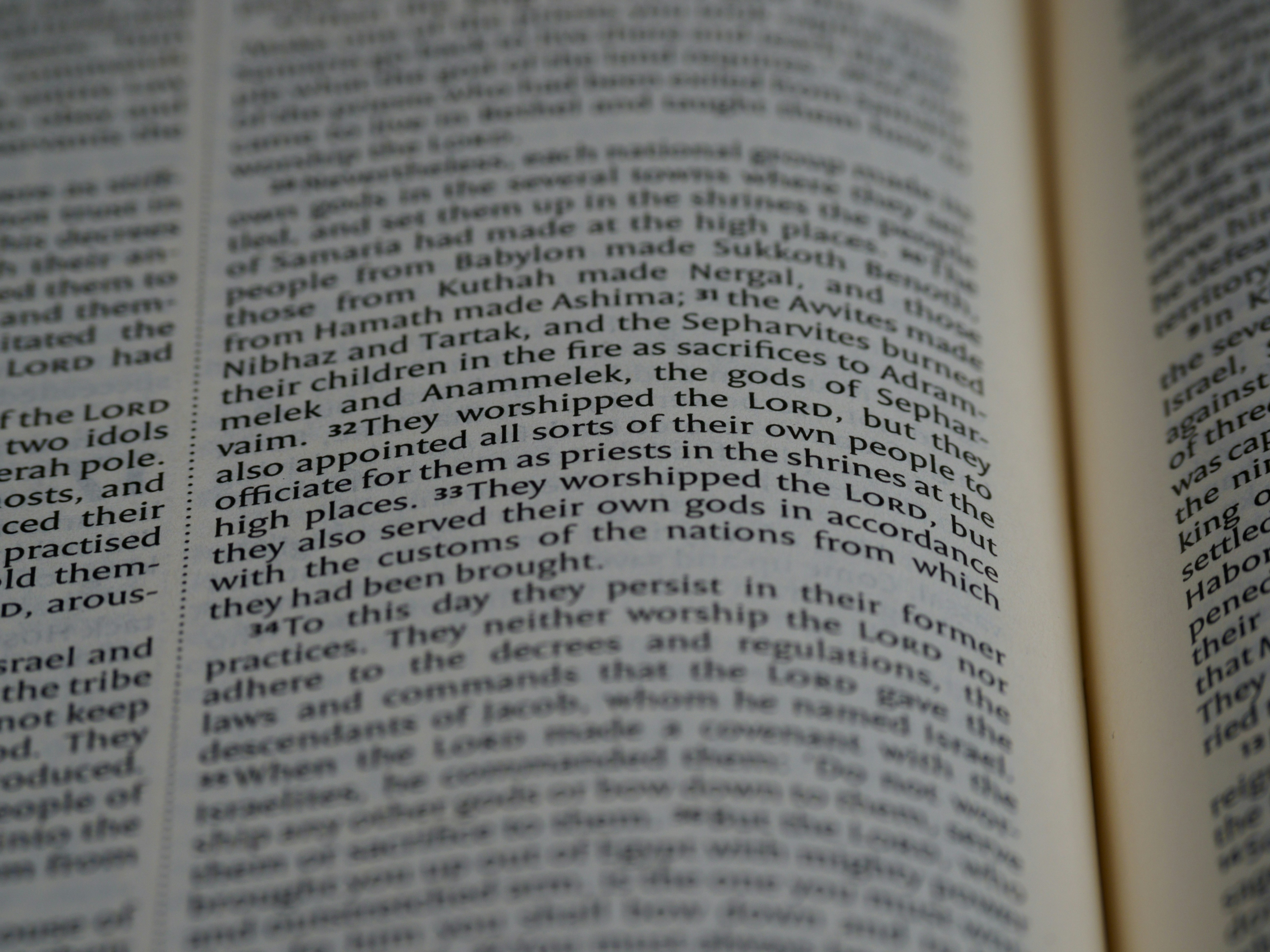 Photo by brett_jordan