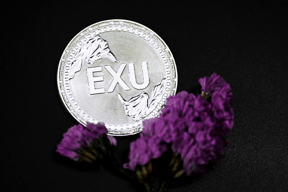 silver and black round coin