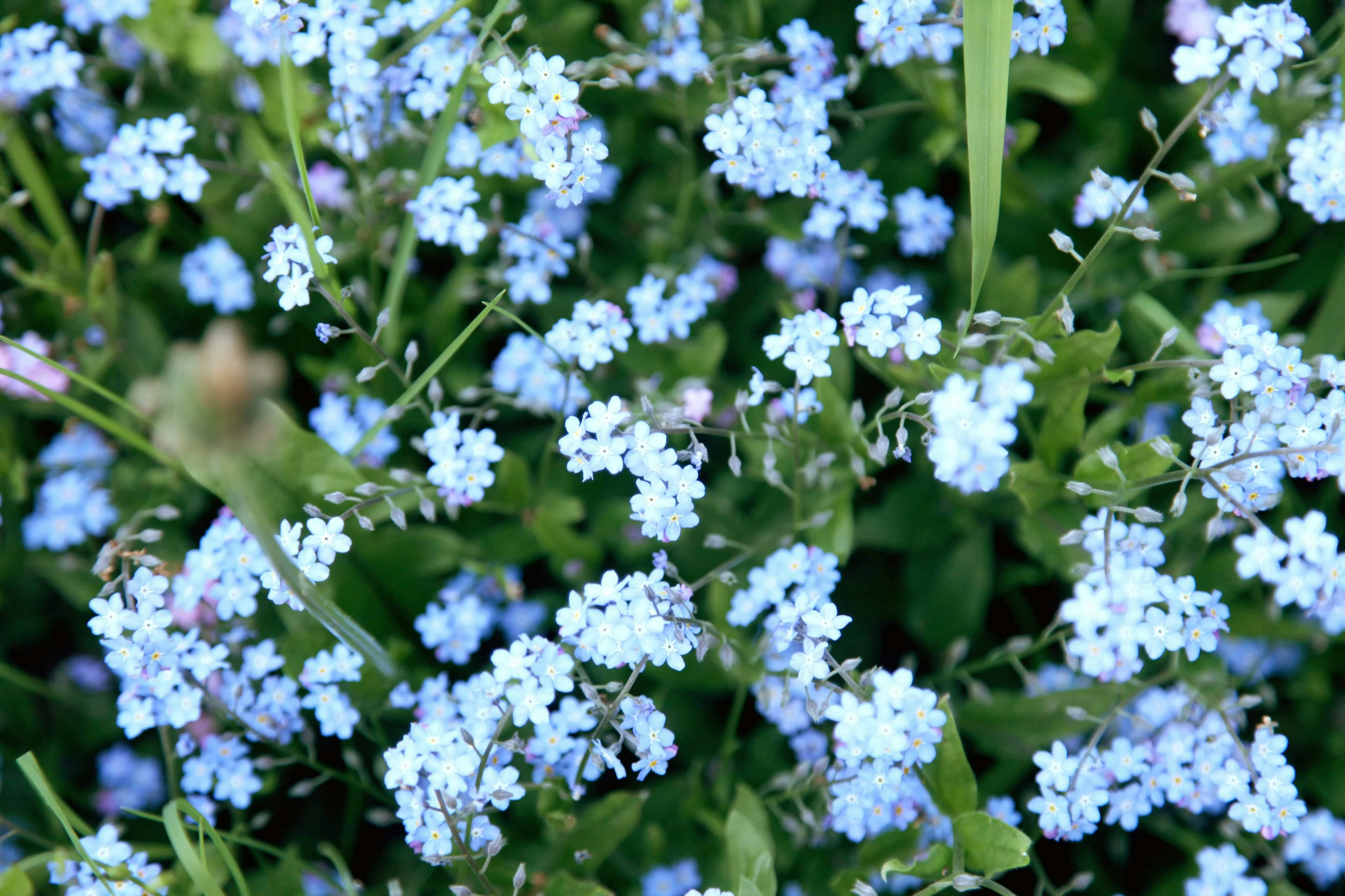 Photo by mirianaivanova