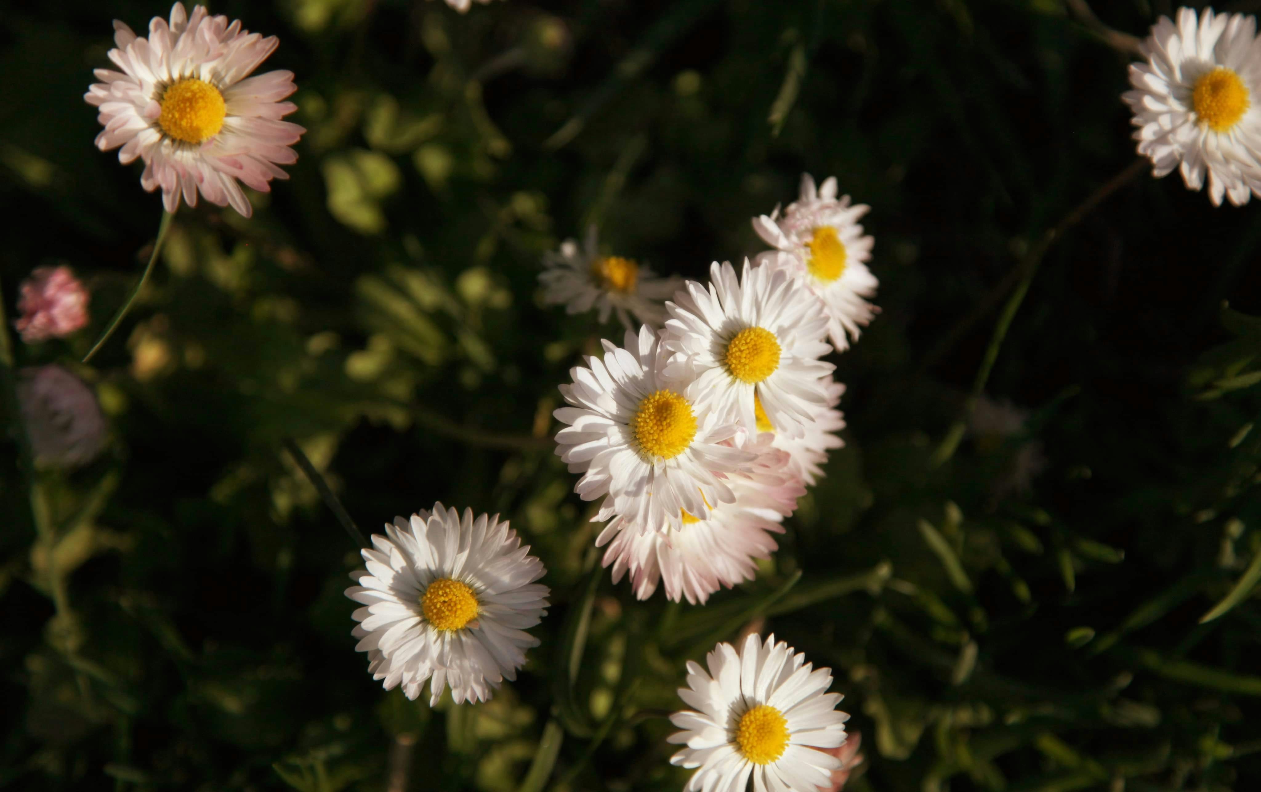 Photo by mirianaivanova