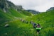 people hiking on green grass field during daytime
