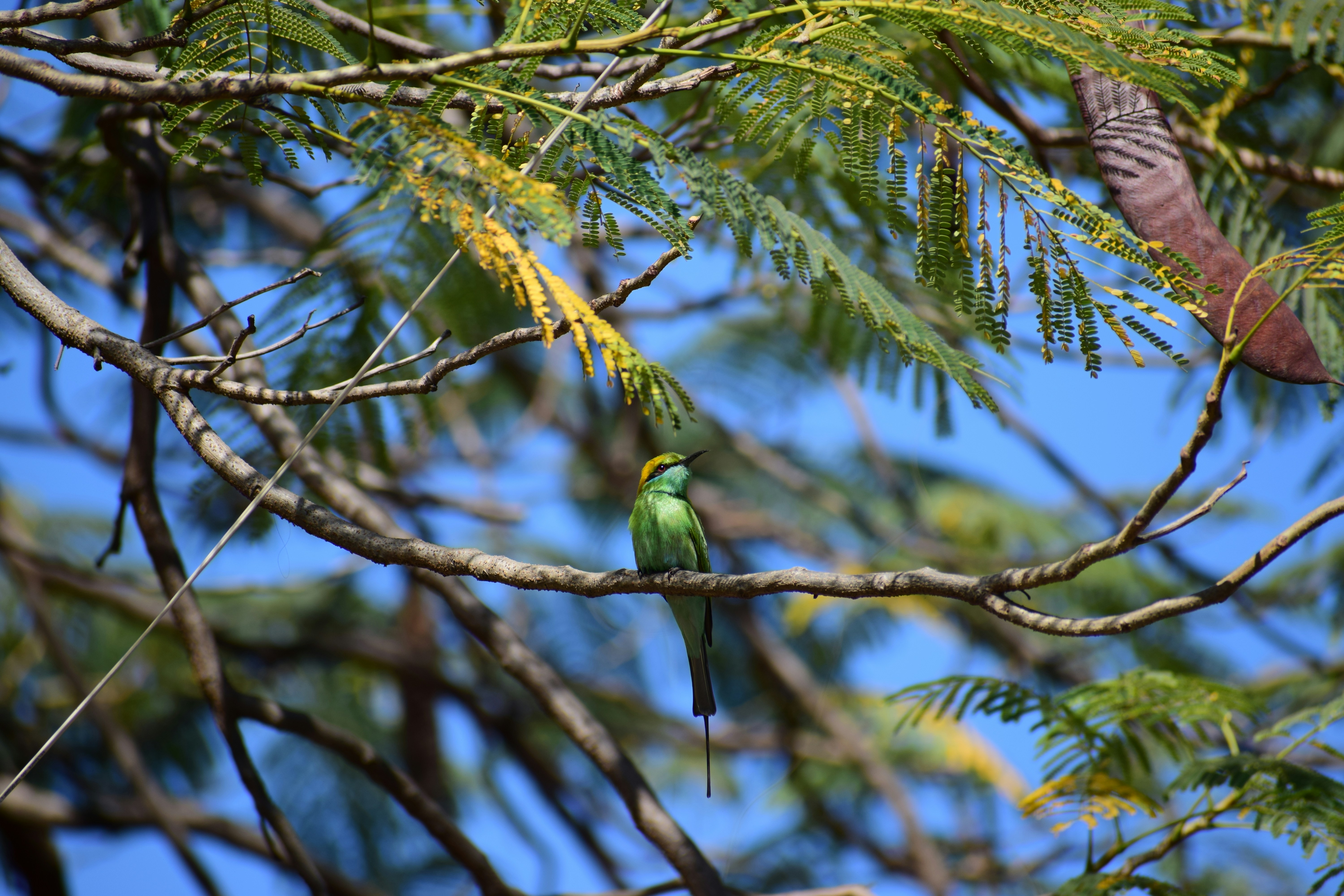 Photo by priyanka_peswani