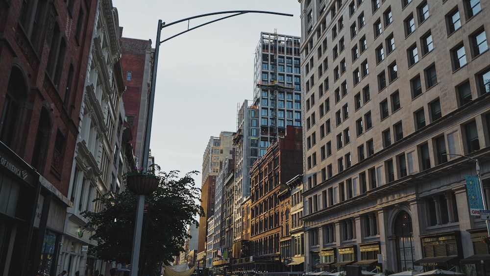 brown and white concrete buildings during daytime