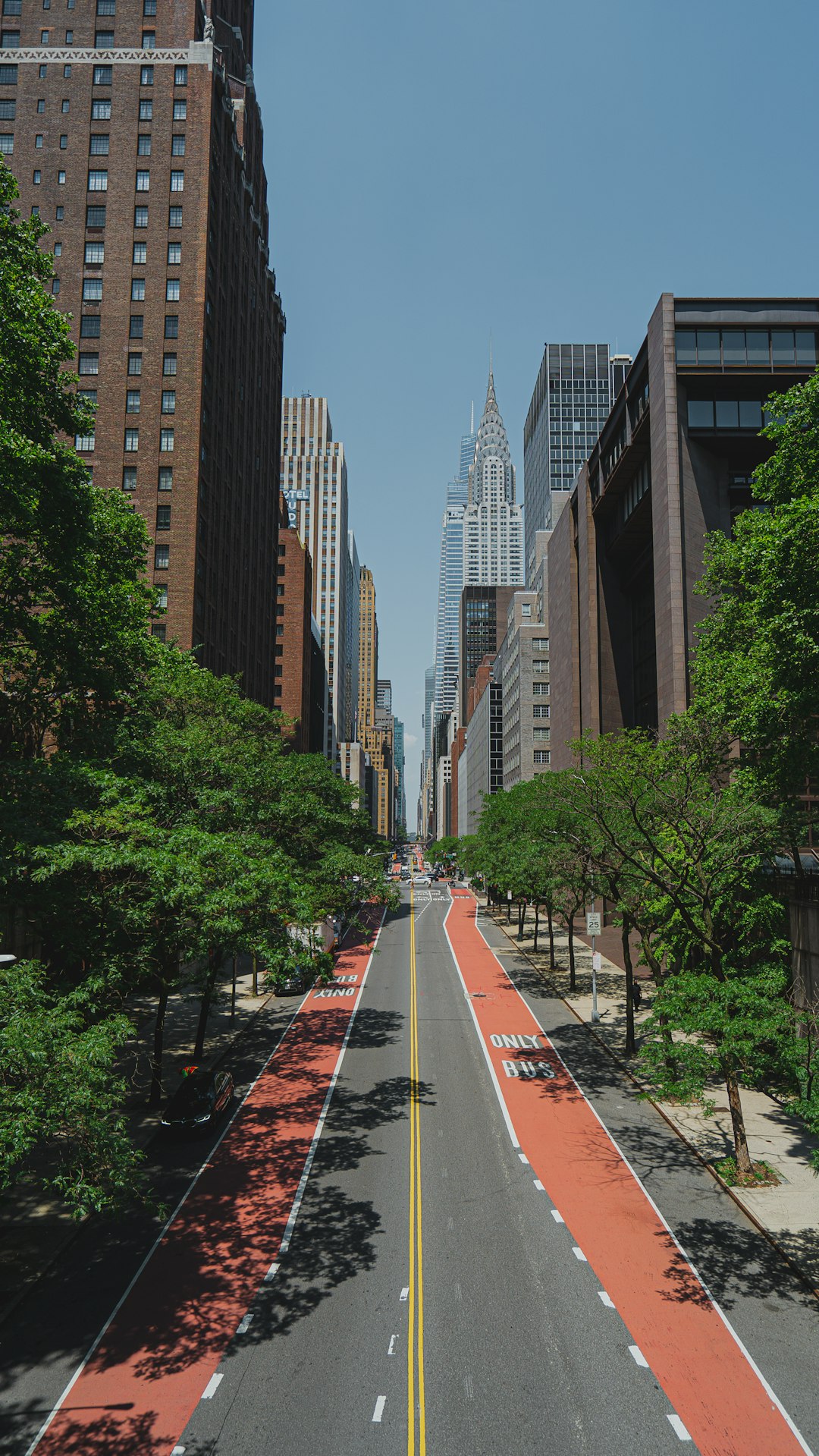 cars on road between high rise buildings during daytime