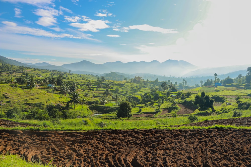 green grass field and mountains under blue sky during daytime