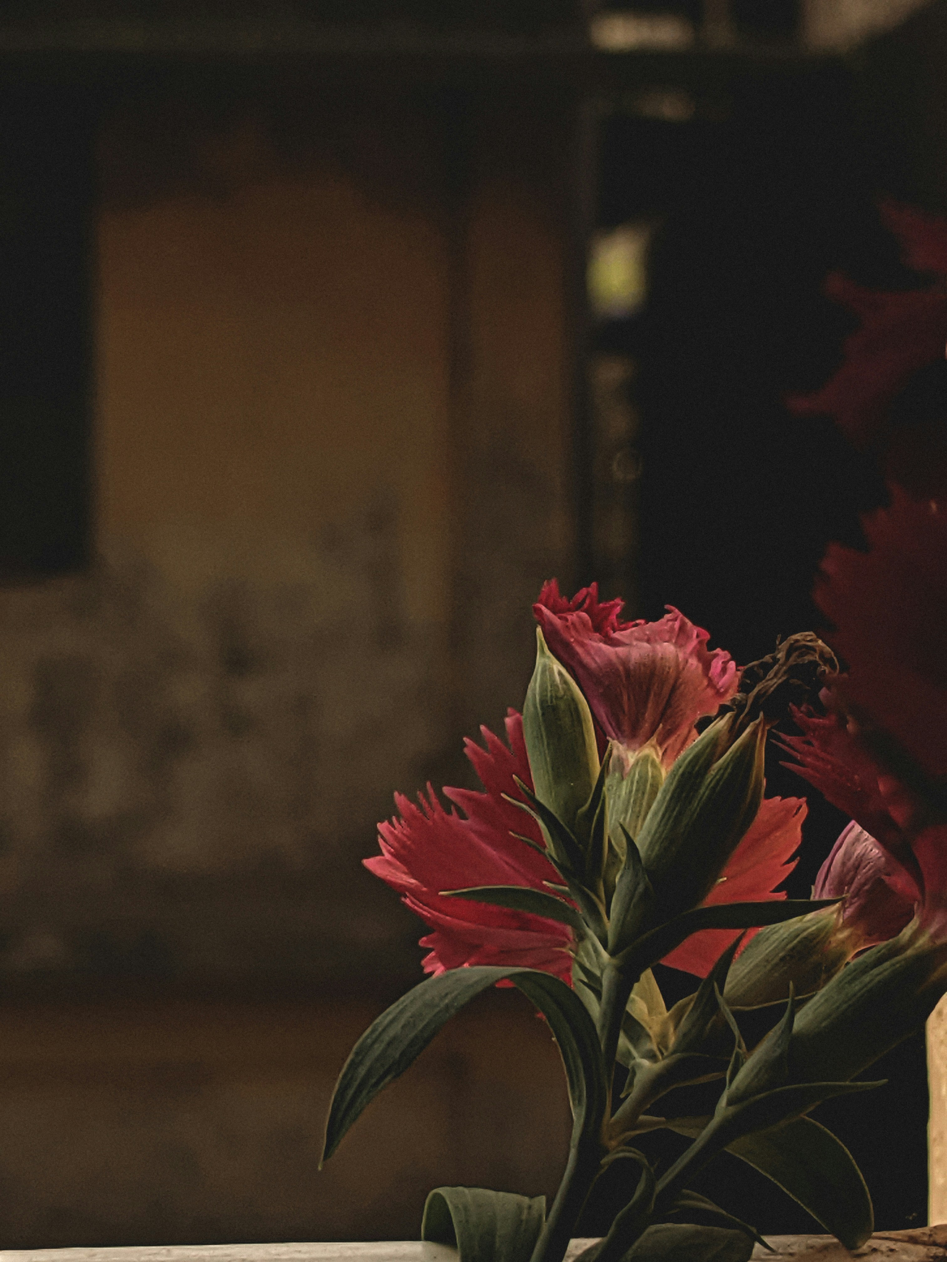 Photo by aditya_pi2xl