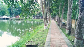 A peaceful walking trail winding through wellness gardens inspired by the Panch Tatva elements.