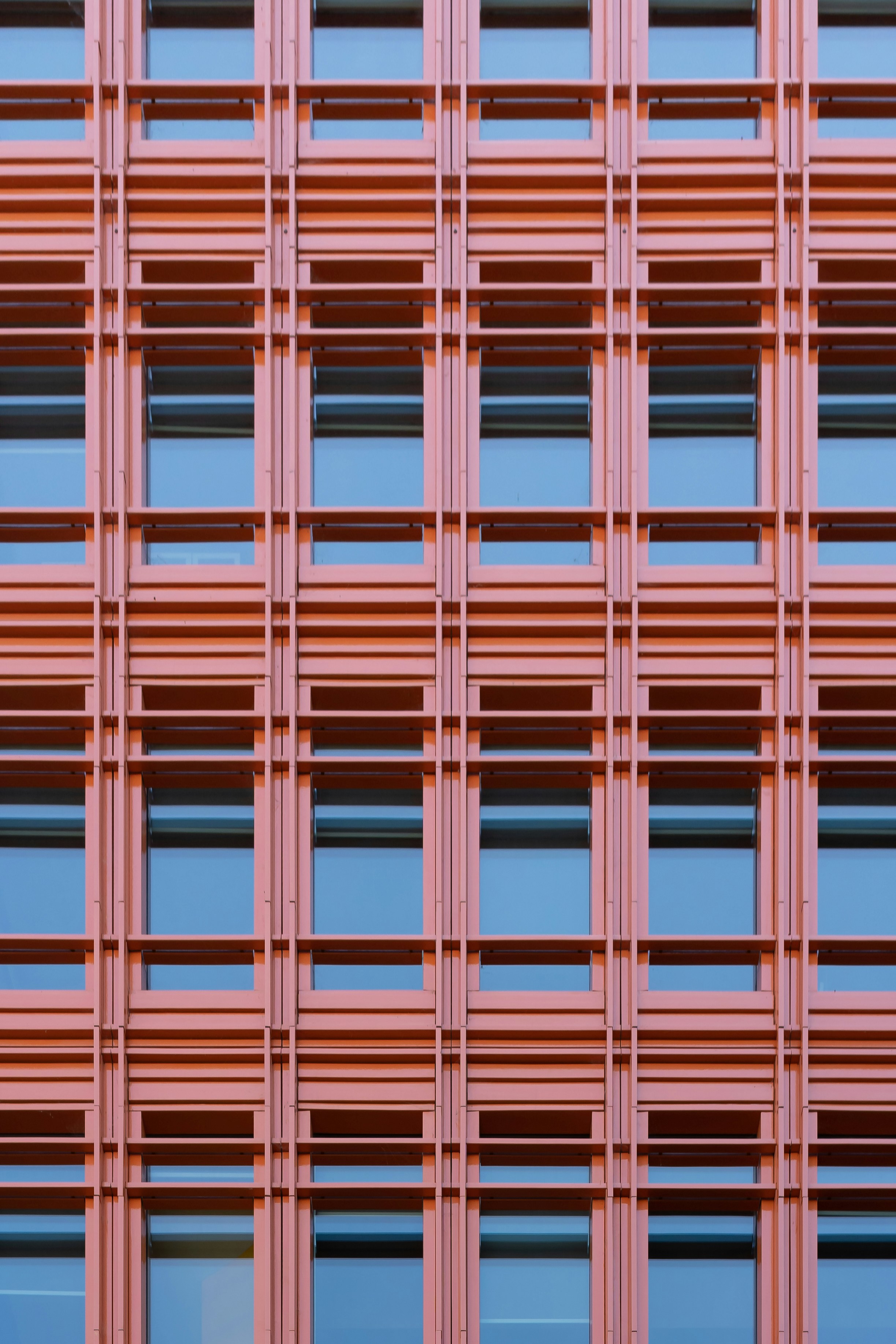 Photo by luca_nicoletti