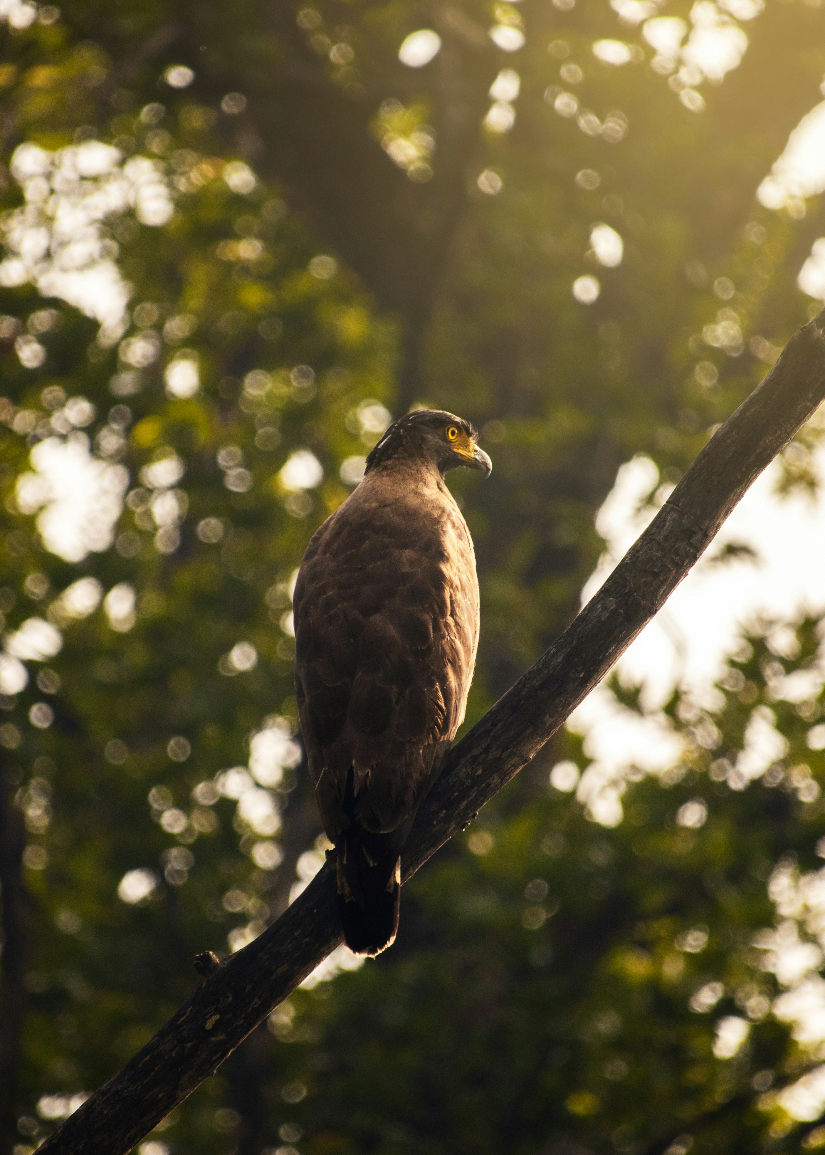 Photo by adnan_saifeee