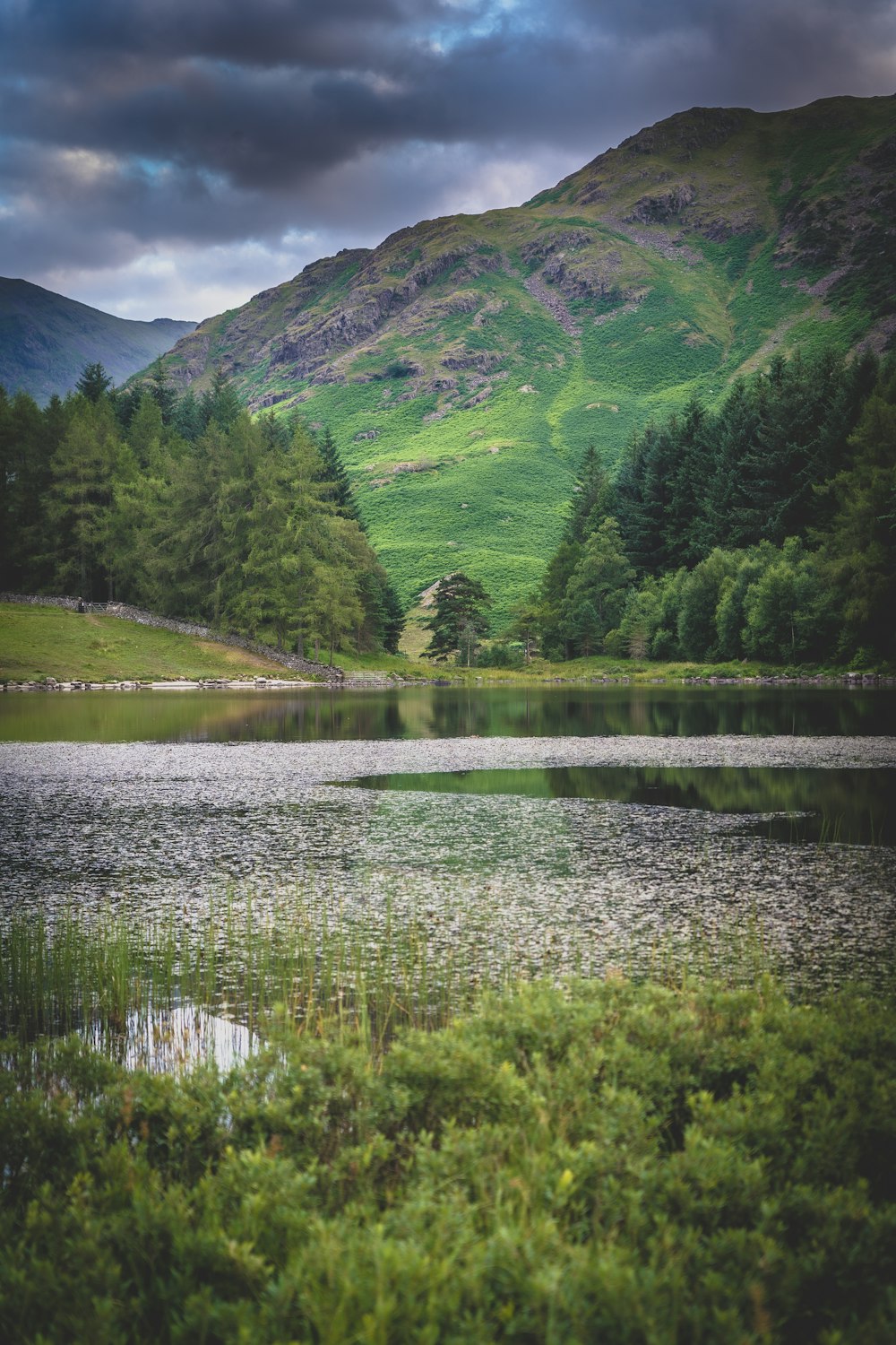 green grass field near lake and mountain during daytime