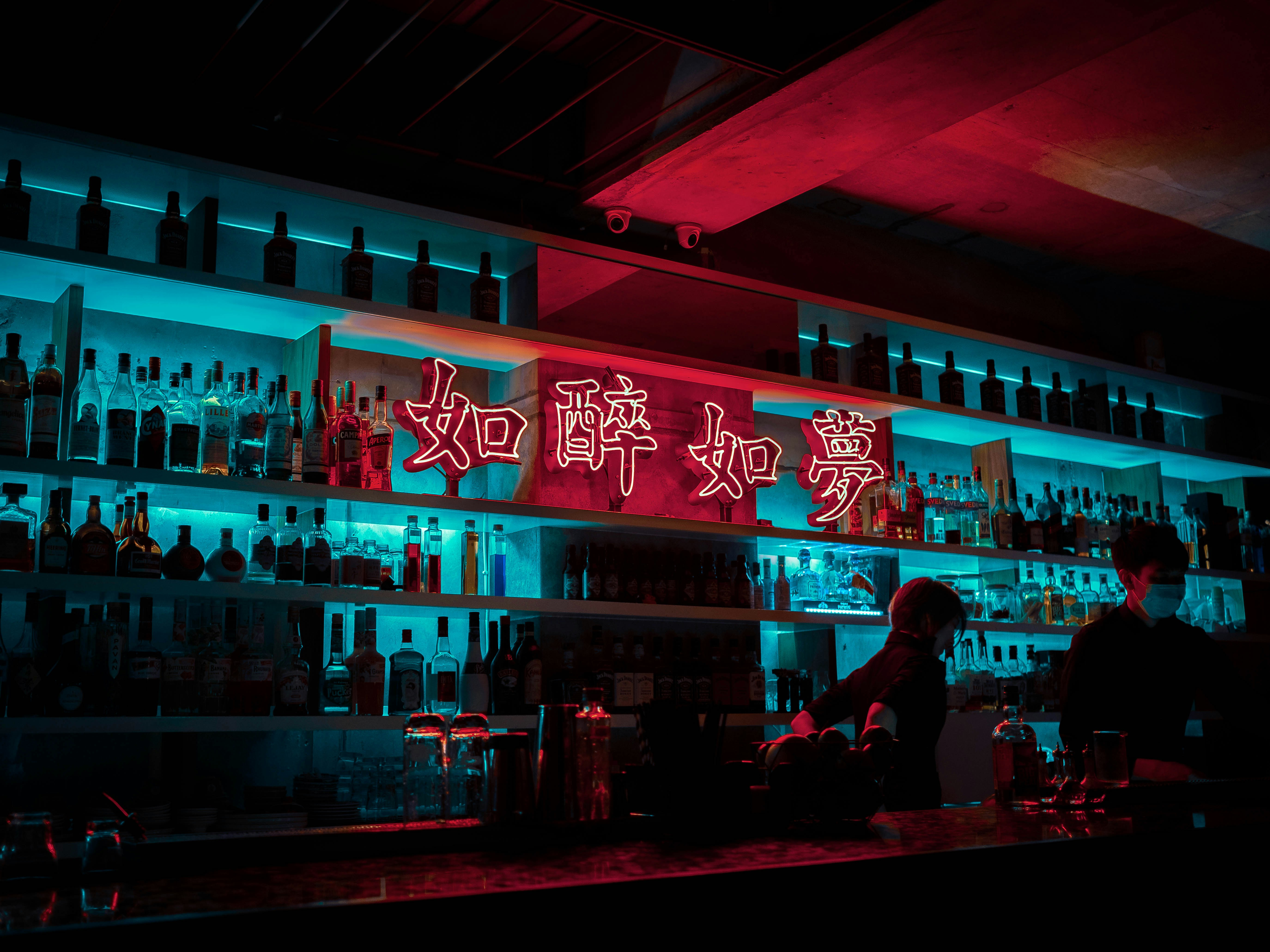 Dog Collar header image