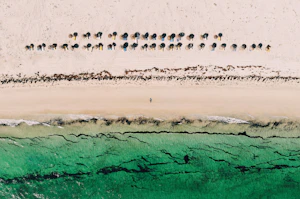 Djerba
