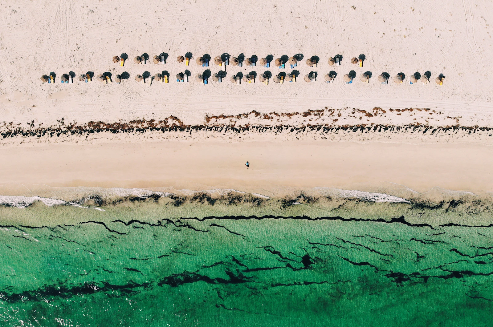 Plage de sable et parasols à Djerba en Tunisie