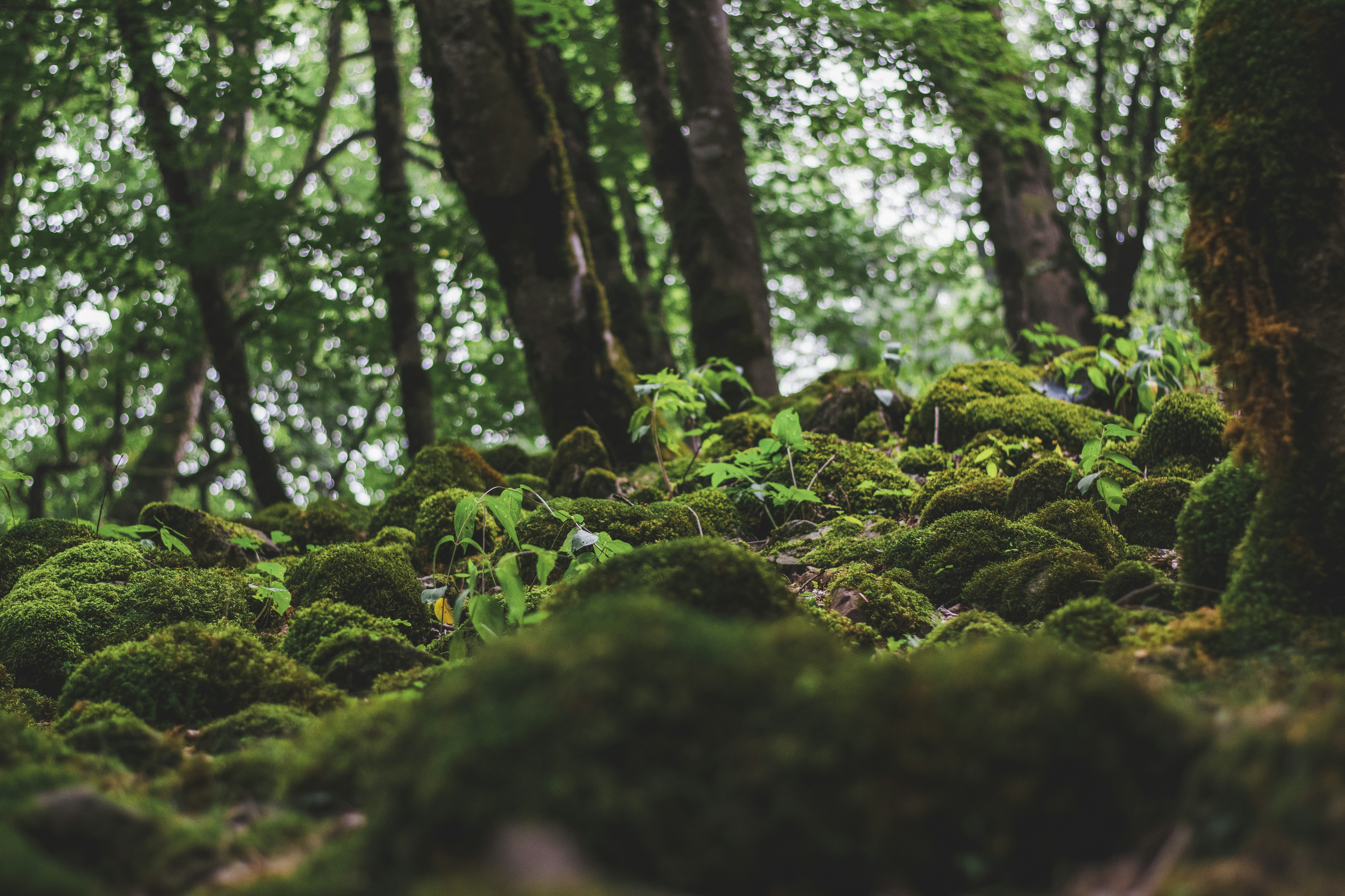 Photo by hesamnejati