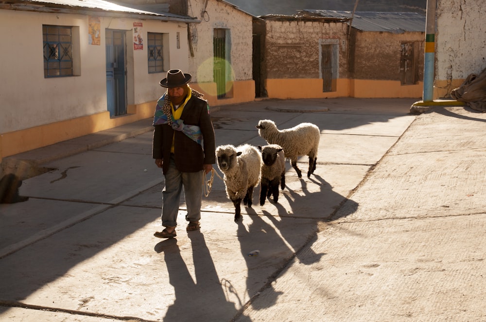 woman in black jacket and blue denim jeans standing in front of sheep