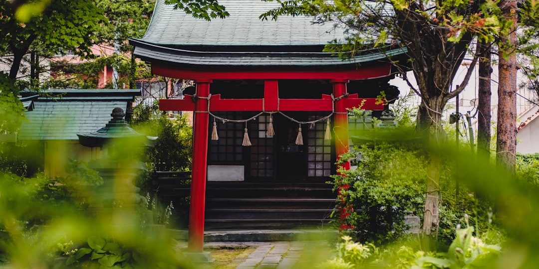 red and black wooden house near green trees during daytime