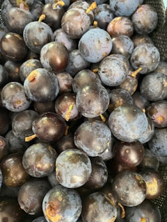 A close-up view of a pile of dark purple grapes with a few brown stems visible. The grapes have a slightly dusty surface, typical of natural fruit bloom.