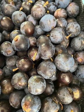 A close-up view of a pile of dark purple grapes with a few brown stems visible. The grapes have a slightly dusty surface, typical of natural fruit bloom.