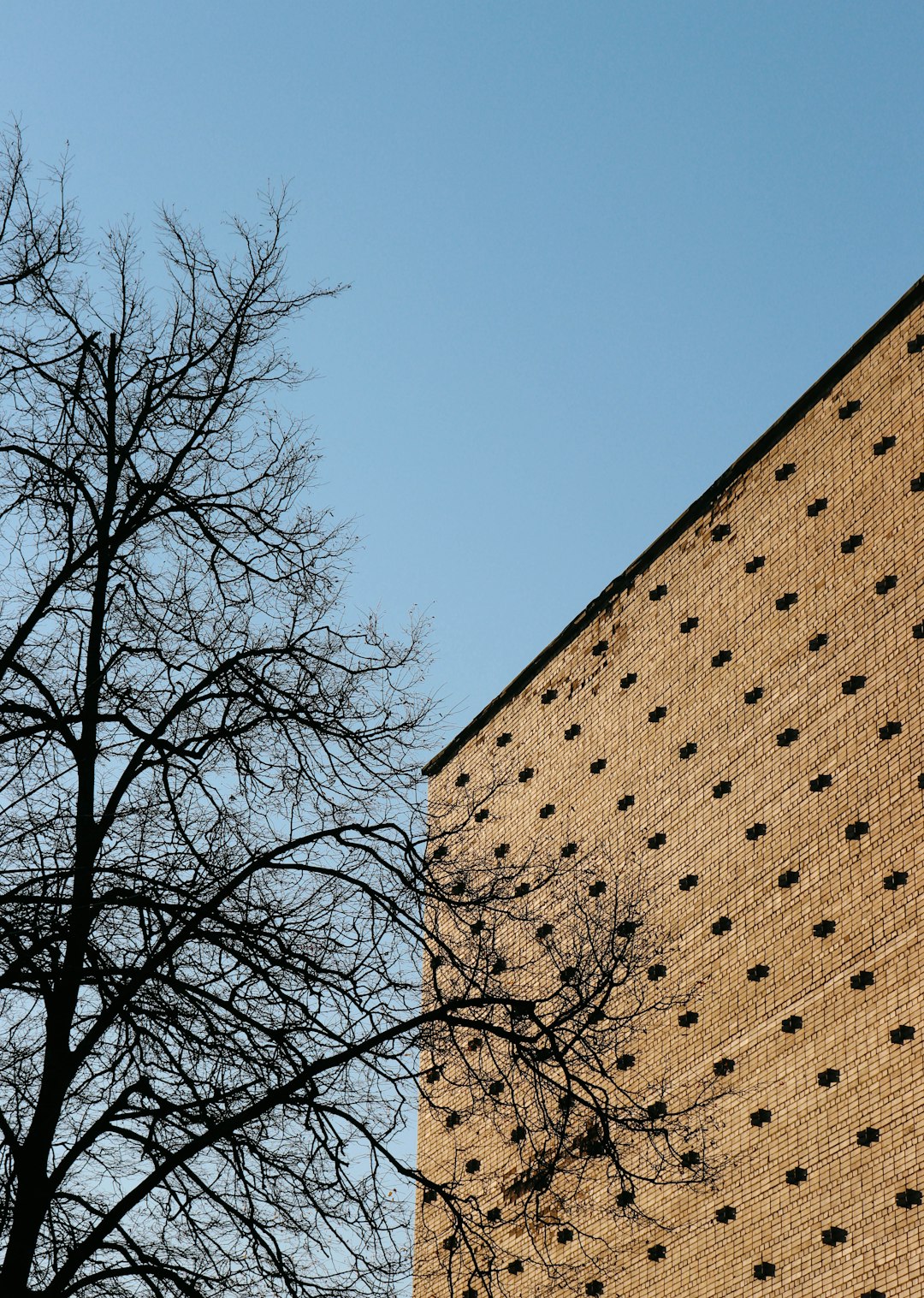 brown concrete building near bare trees during daytime