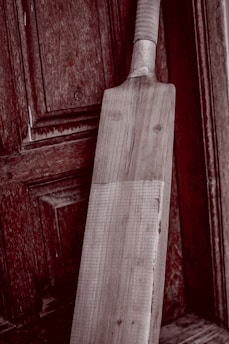 A wooden cricket bat leaning against an aged, textured wooden door. The bat has a light wooden color and visible grain patterns, with a taped handle. The background features a rich, dark wood with intricate panels and a slightly weathered appearance.