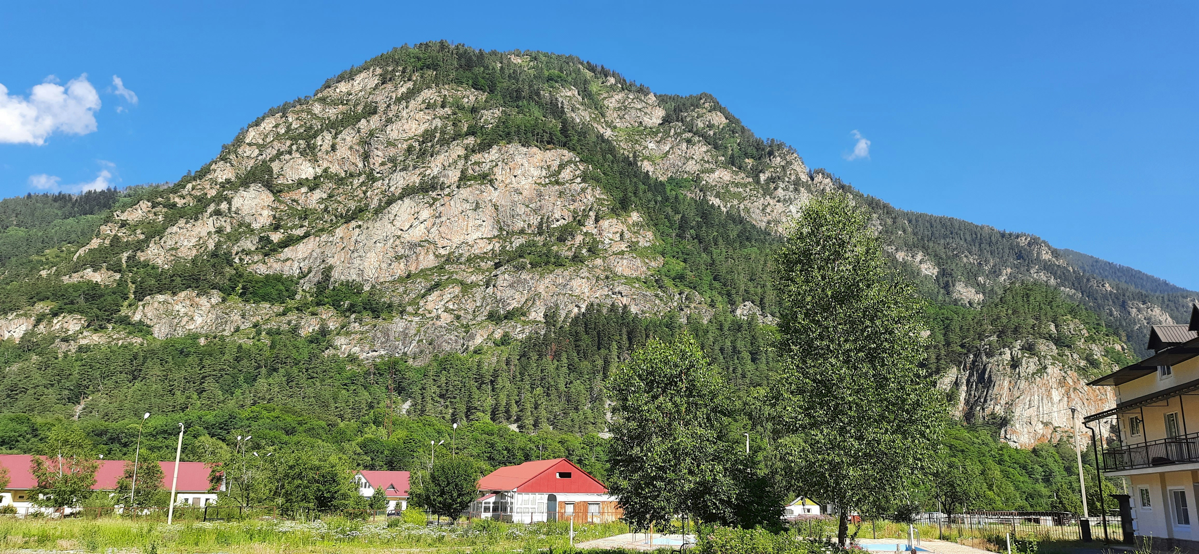 green trees near gray mountain under blue sky during daytime