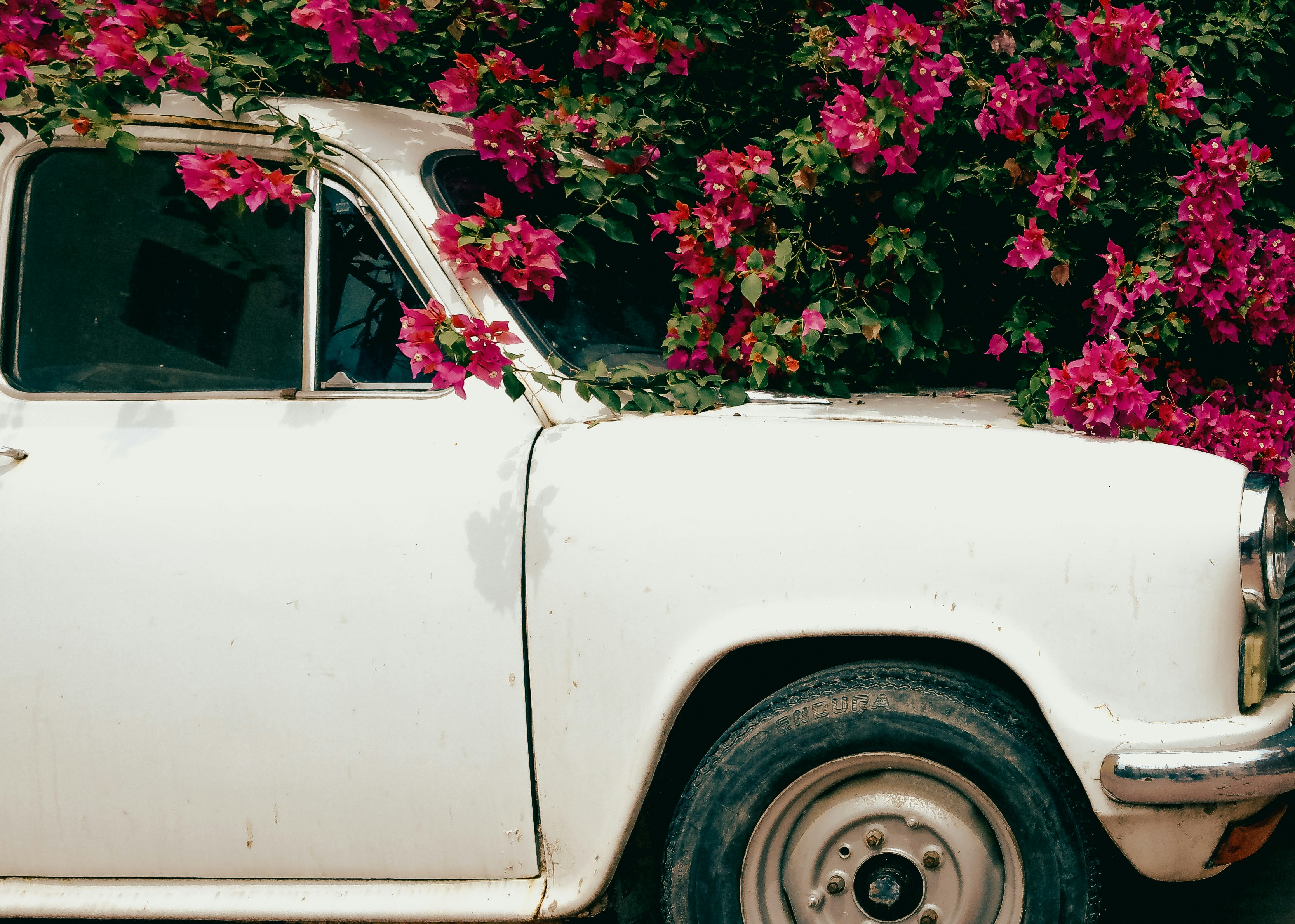 Photo by harisinghtanwar