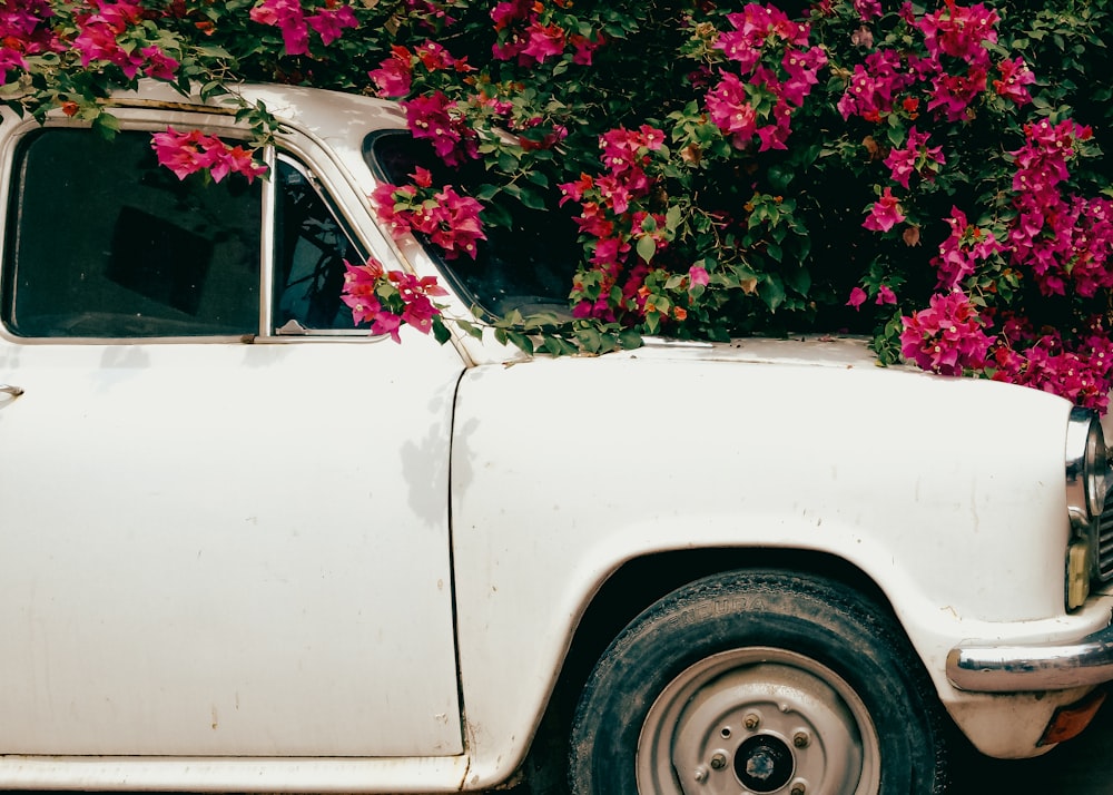 white car with pink flowers