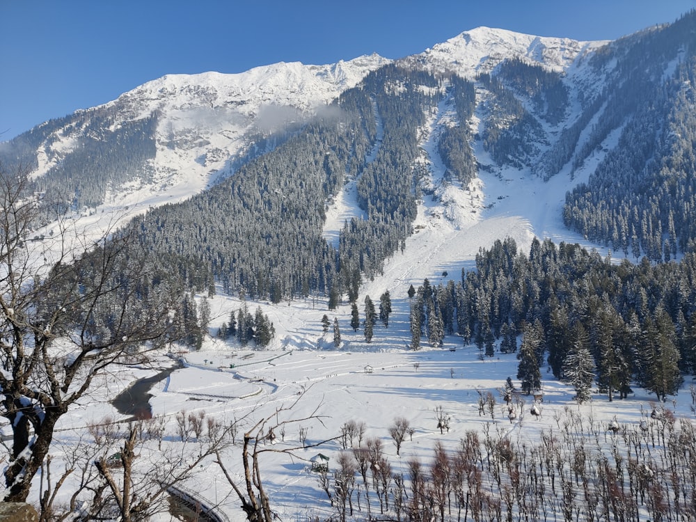 snow covered mountain during daytime