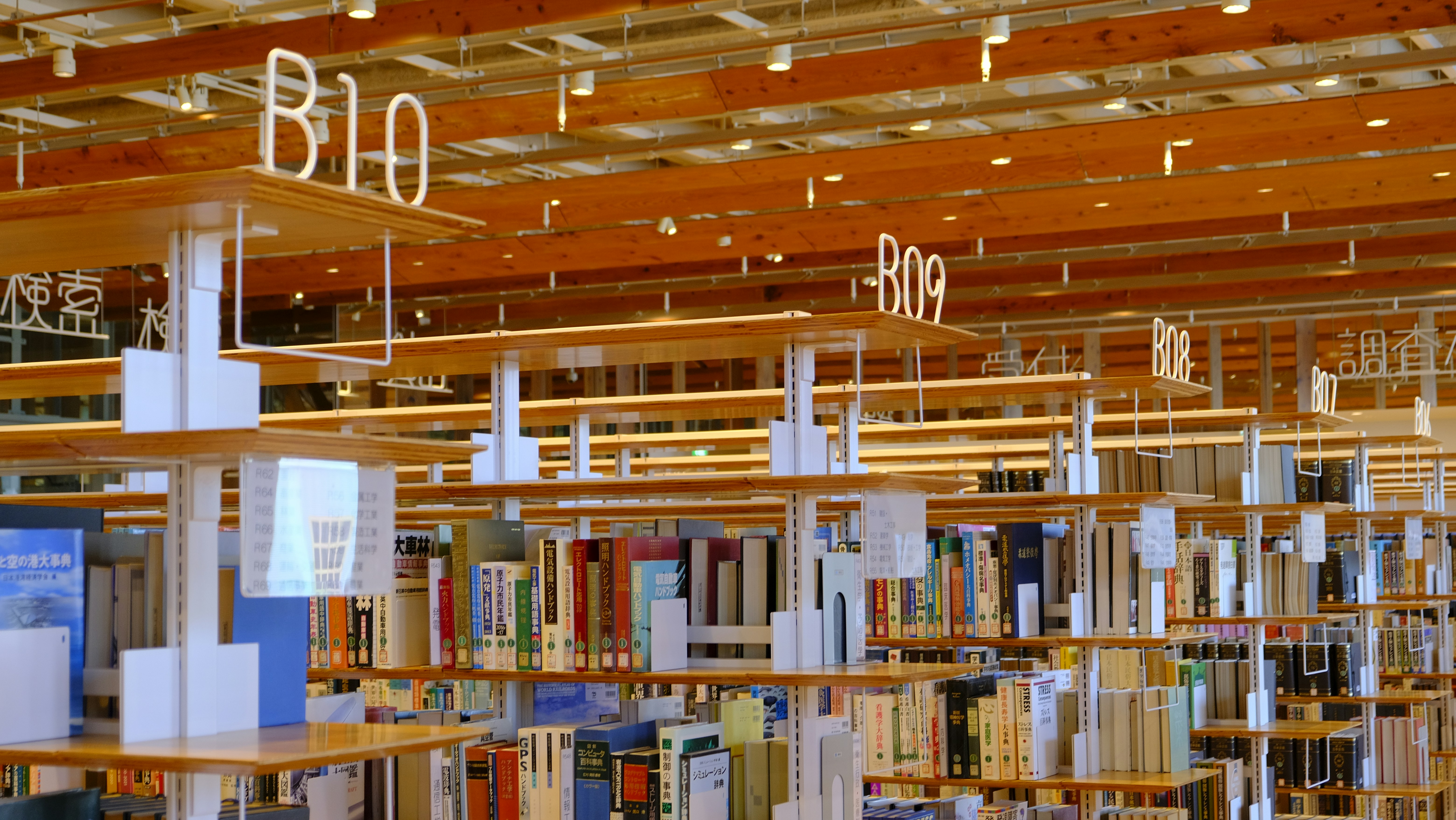 Japan Library Automation System Market