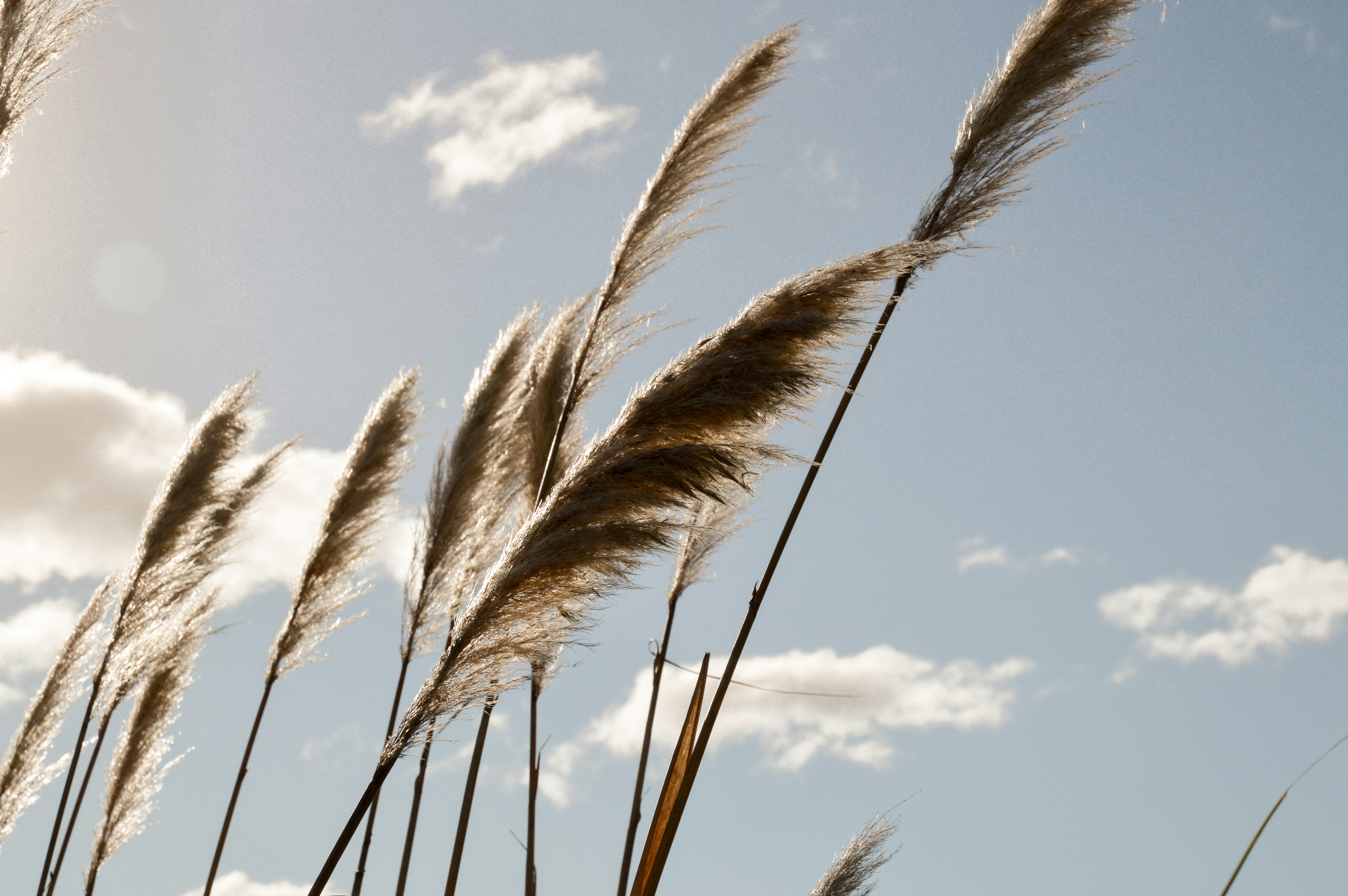 Photo by florenciadalla