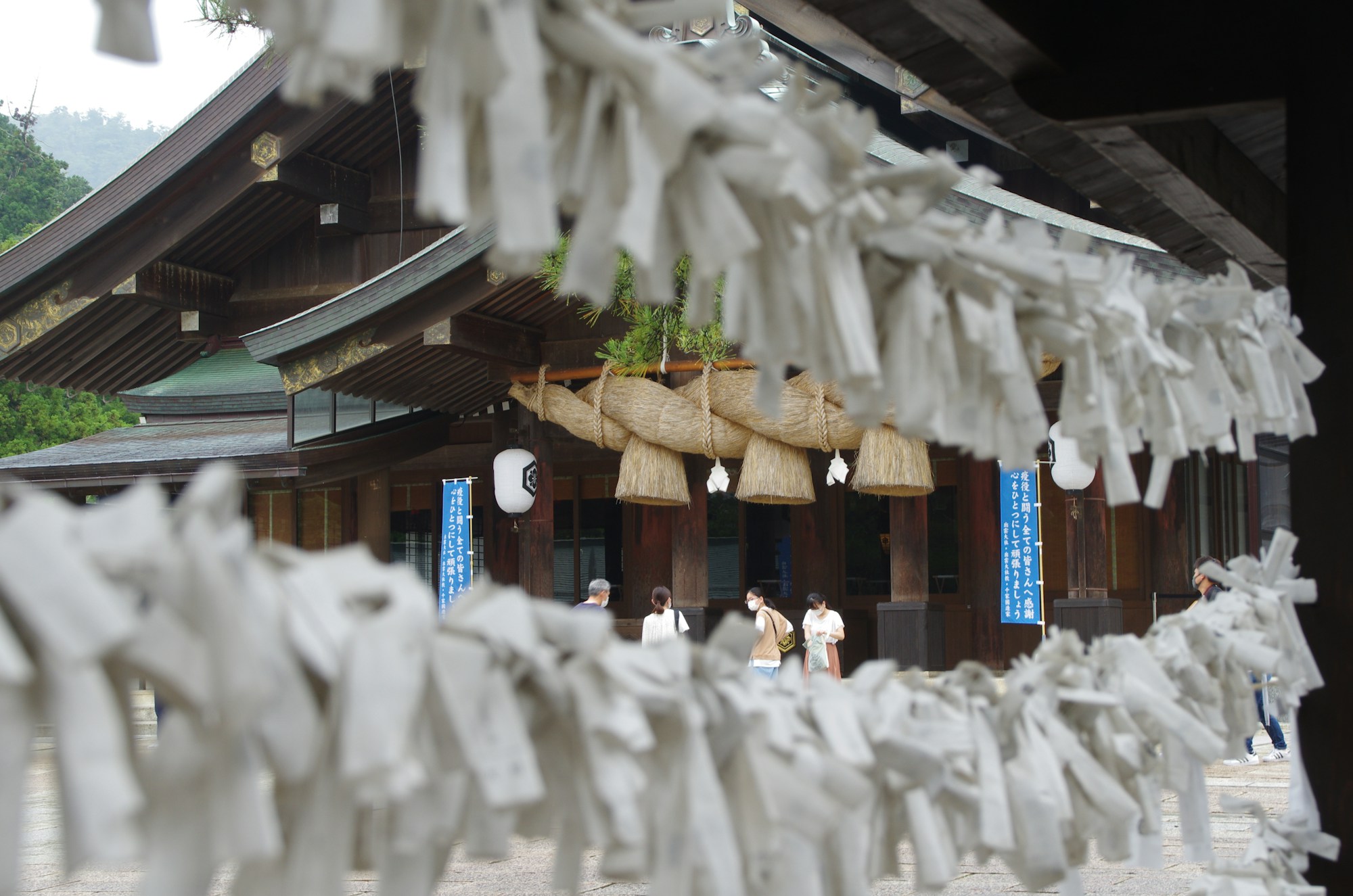 Exploring Shimane's Authentic Cuisine