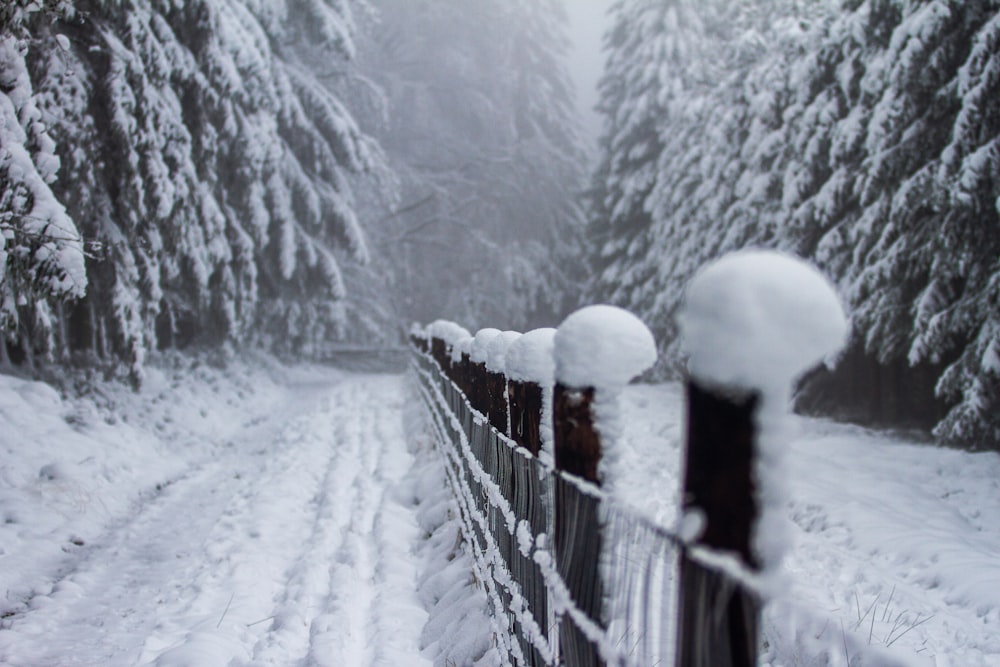 white snow covered fence during daytime