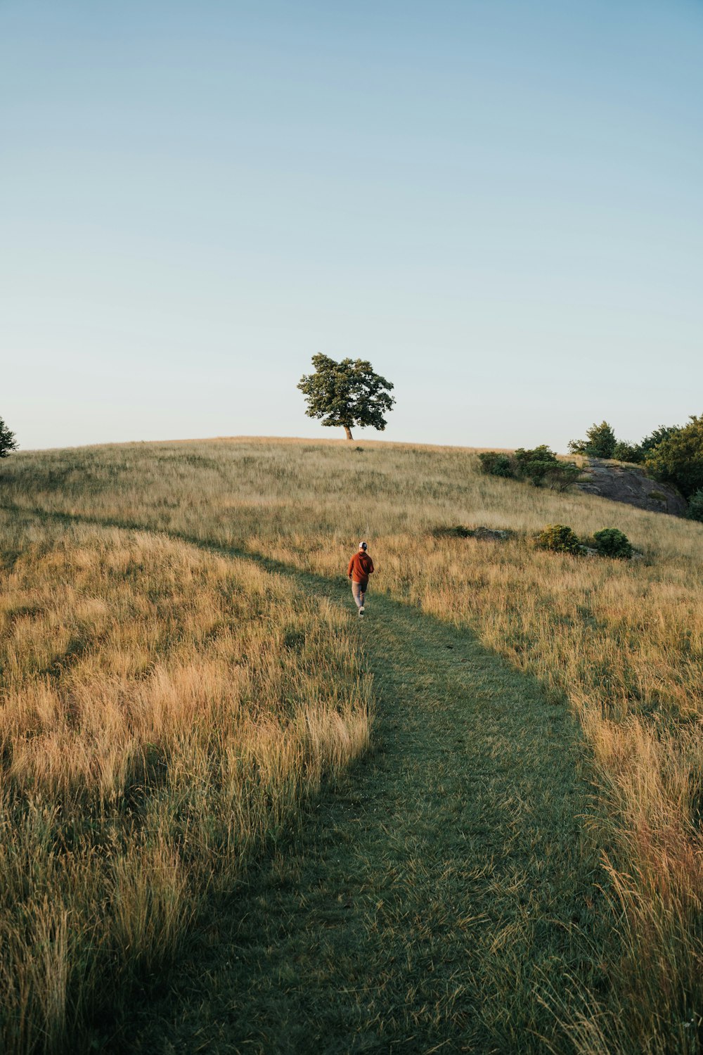 person in red jacket walking on green grass field during daytime